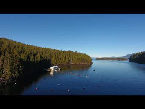 Hump Island Oyster Farm Ketchikan Alaska