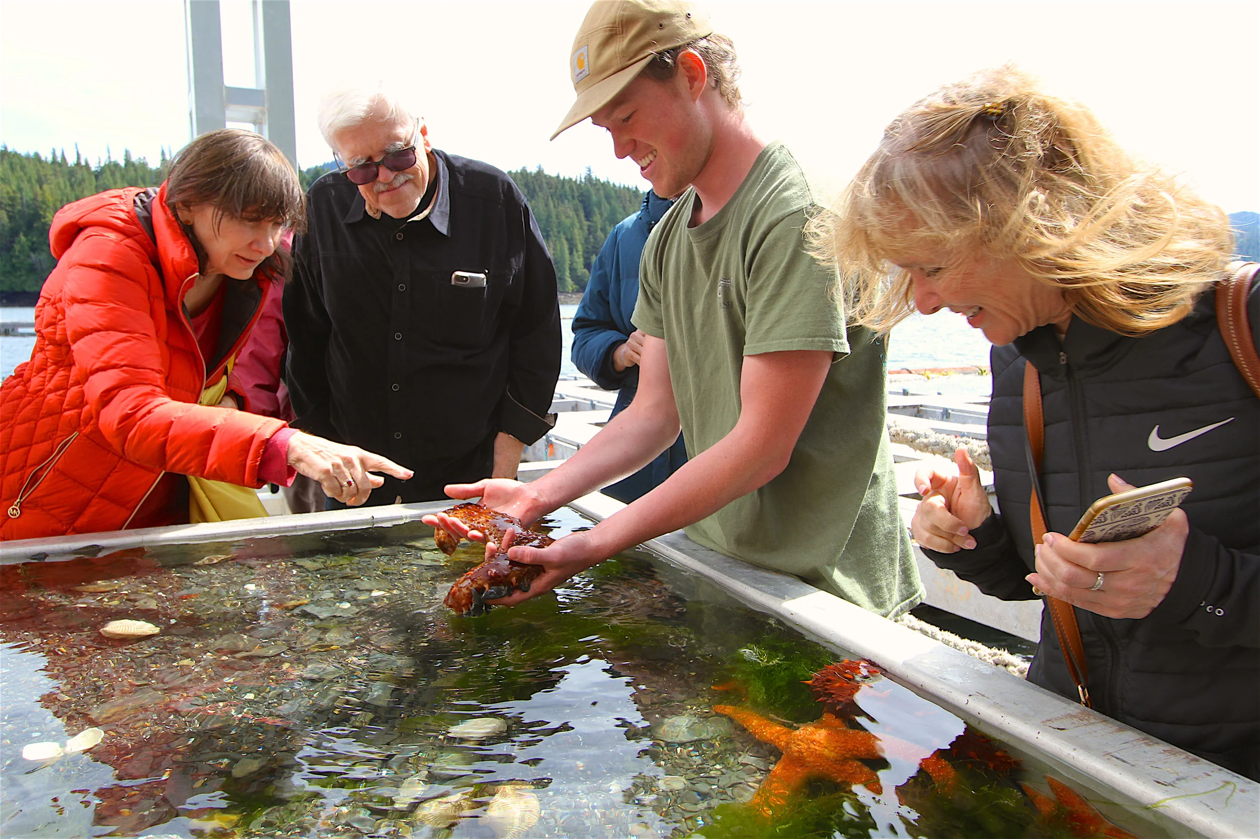 Touch tank at Hump Island Oyster Company