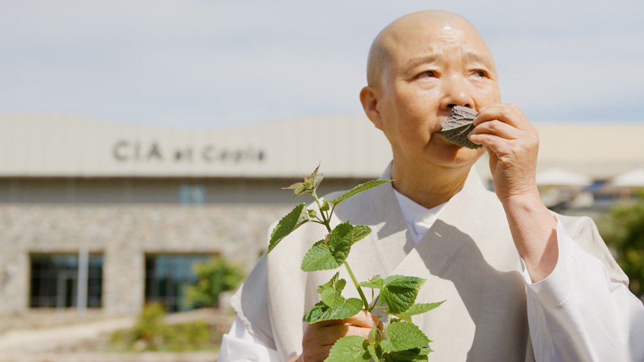 Tofu Noodles with the Buddhist Nun Jeong Kwan