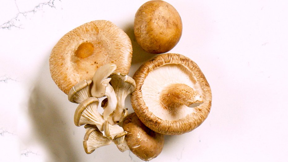 Intro to Mushrooms in the Plant-Forward Kitchen