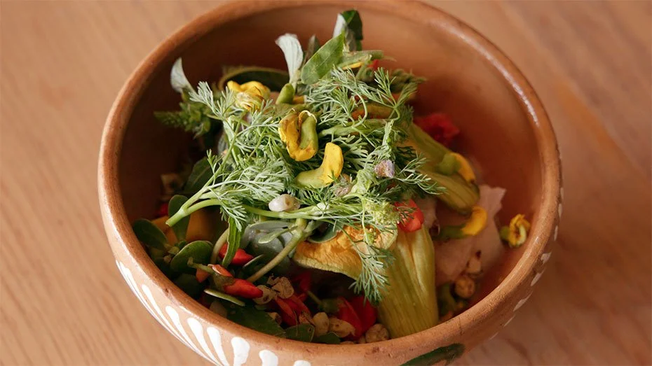 Red Snapper Ceviche at Vianda