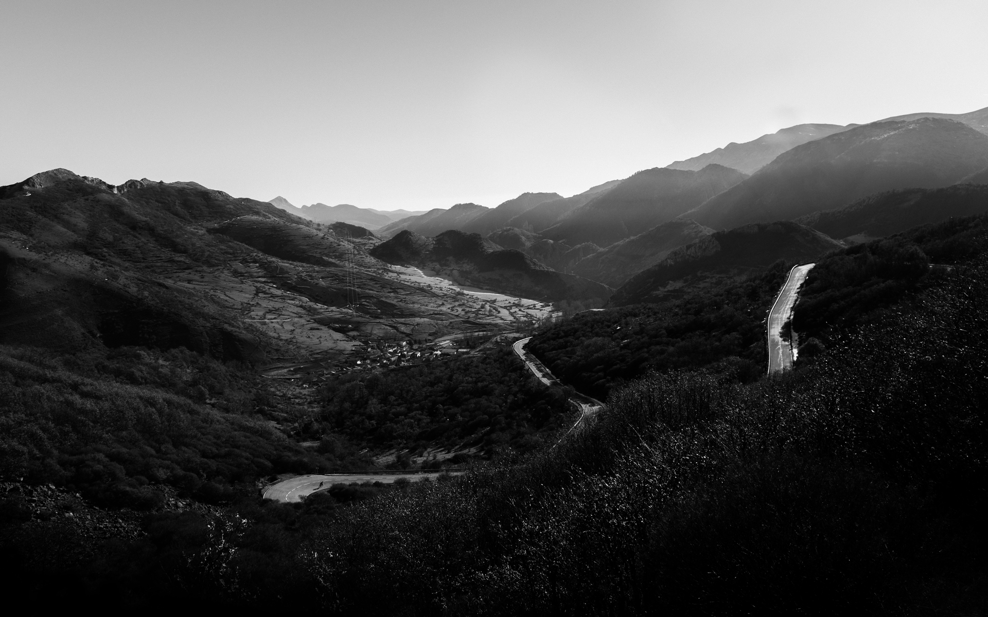 _DSC8556-Editar-1_web.png