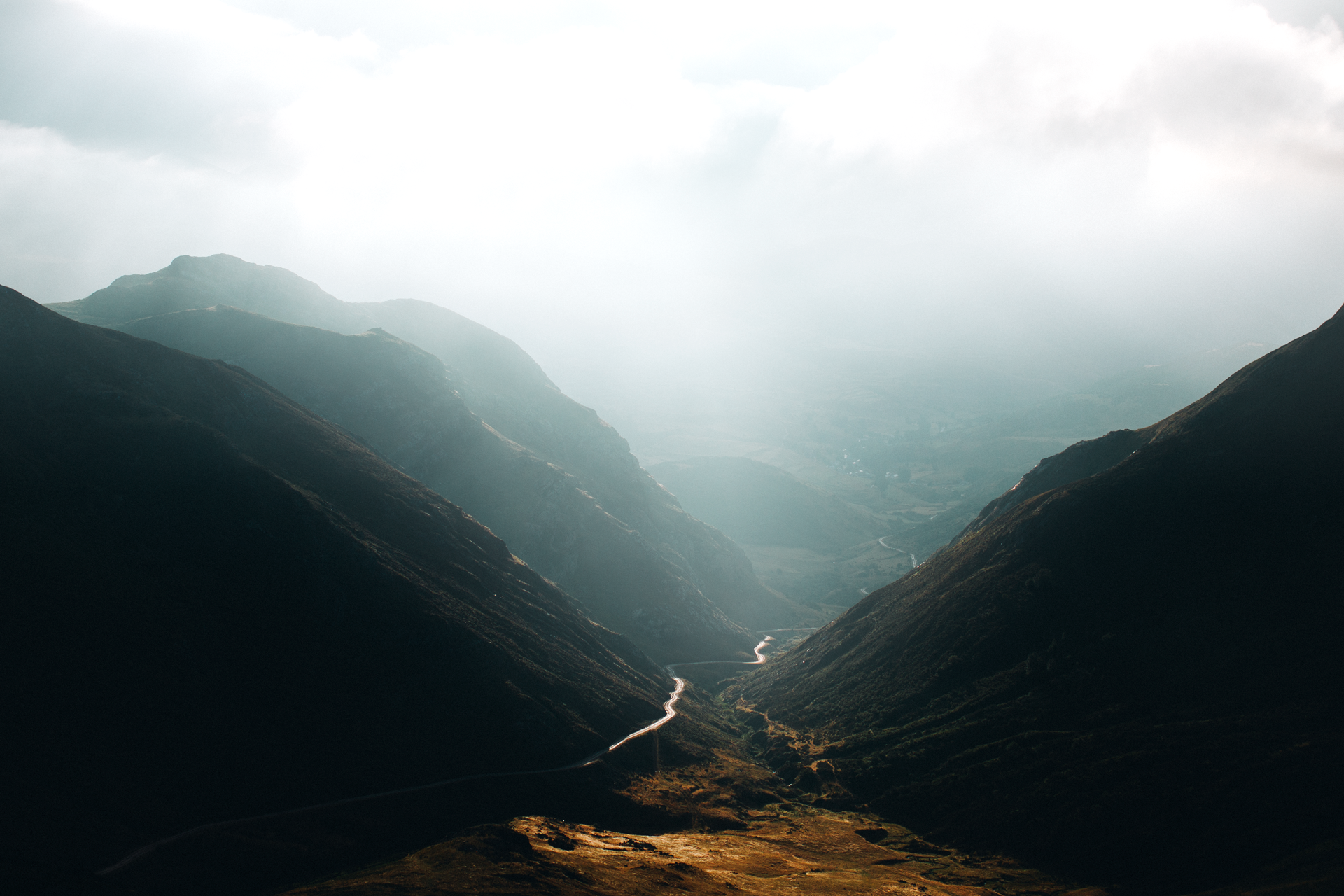 _83A4131_web.png