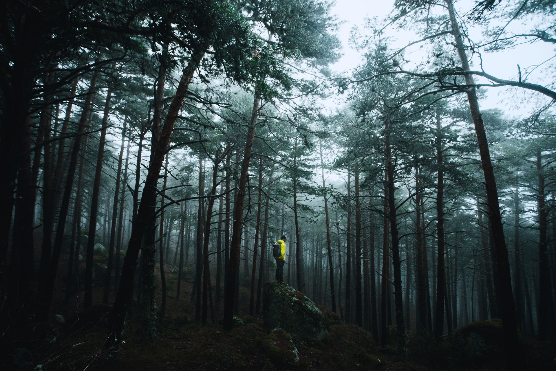 canencia-05053-(1)_web.png