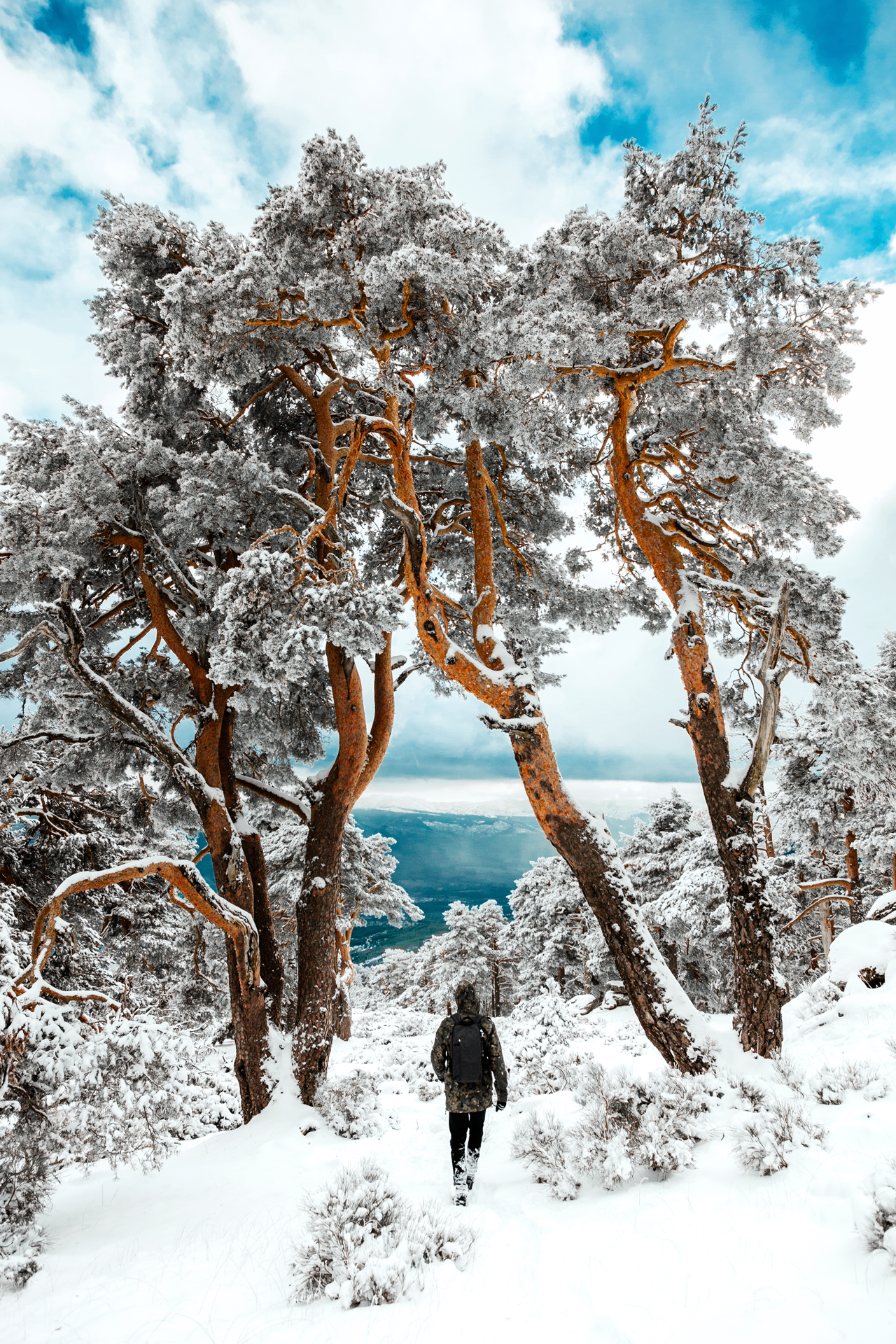 Navafria-5873_2_web.png