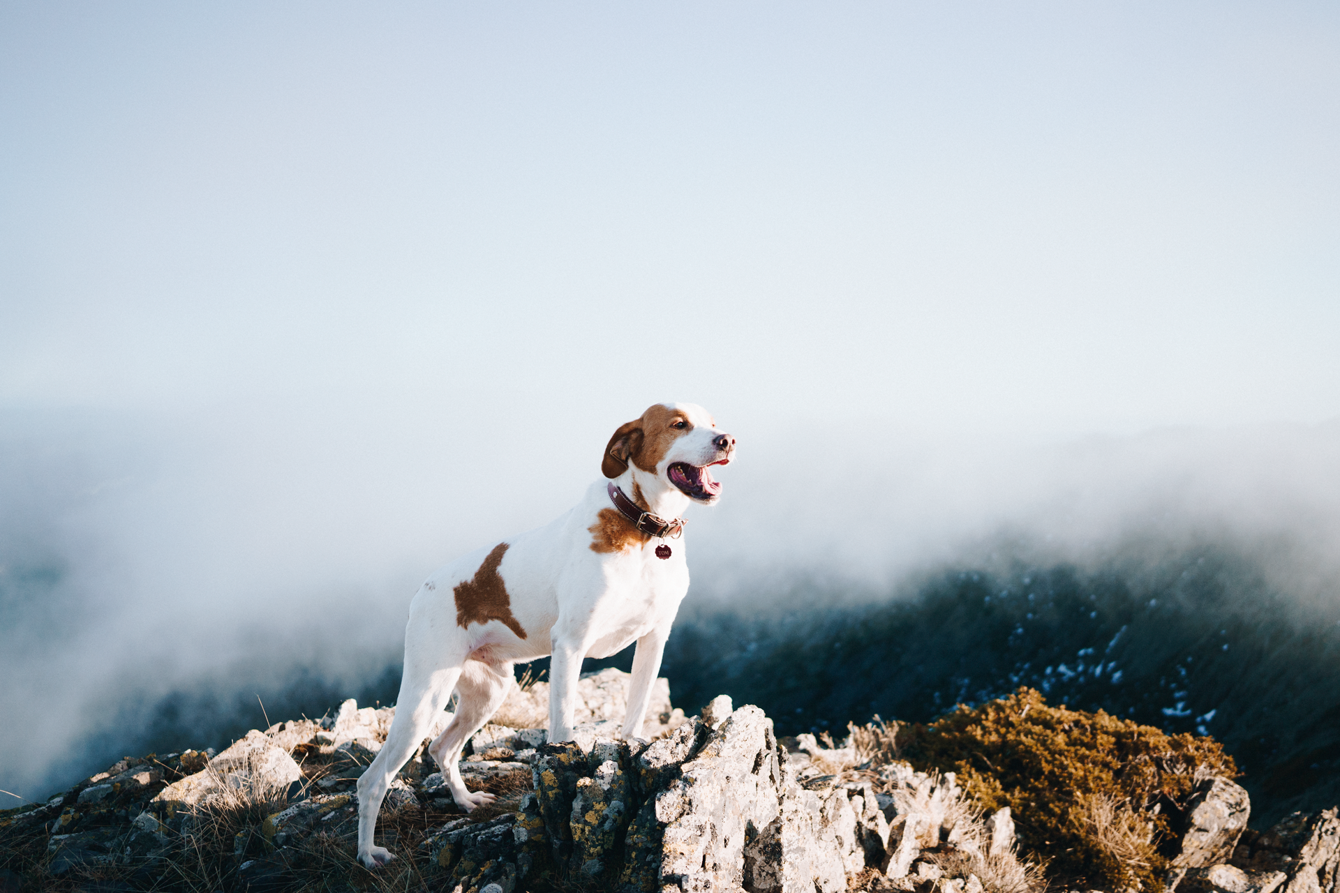 A7_00164_web.png