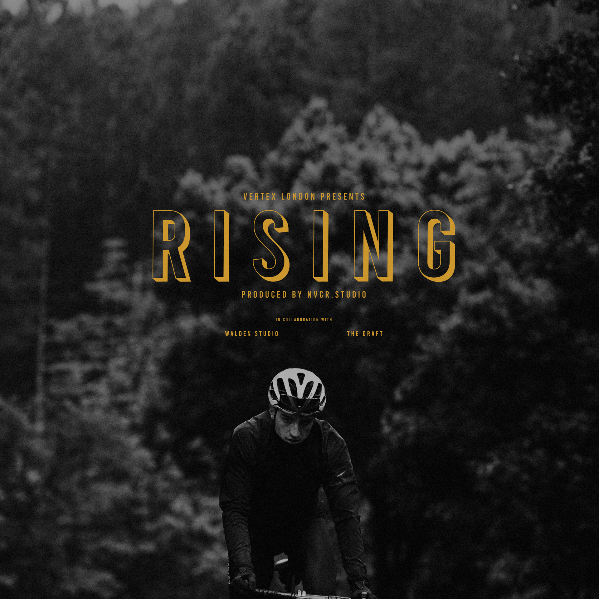 Cartel_RISING_1x1_1920.png