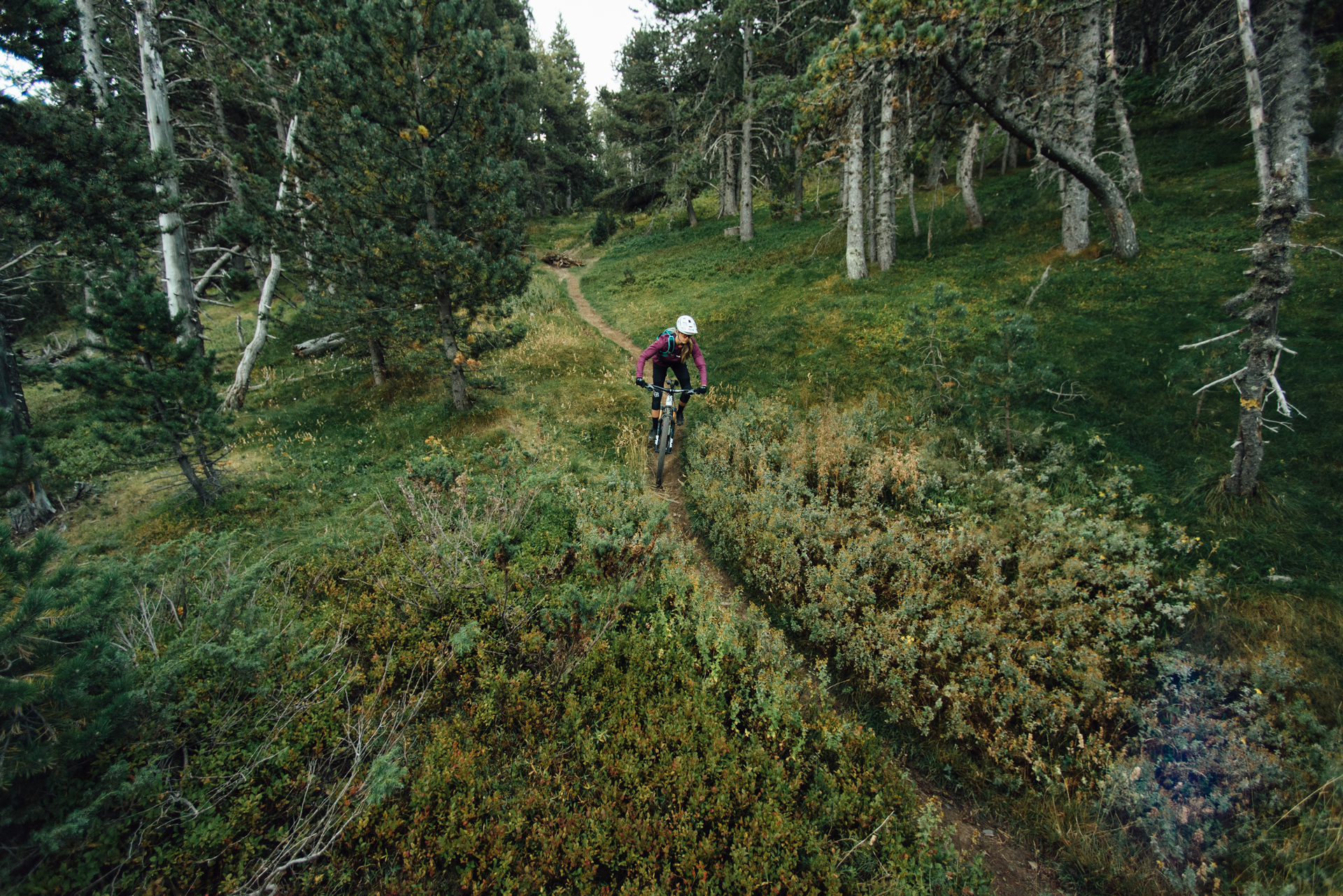 Fotos-Accion_ORBEA-RISE_132_web.png
