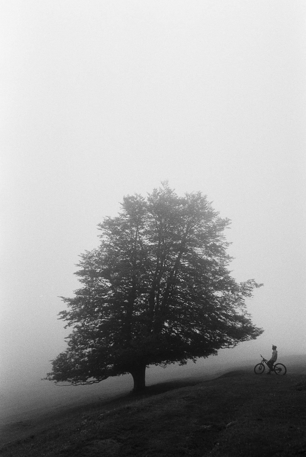 Orbea_TT_CheesePaths_Film_92.jpg