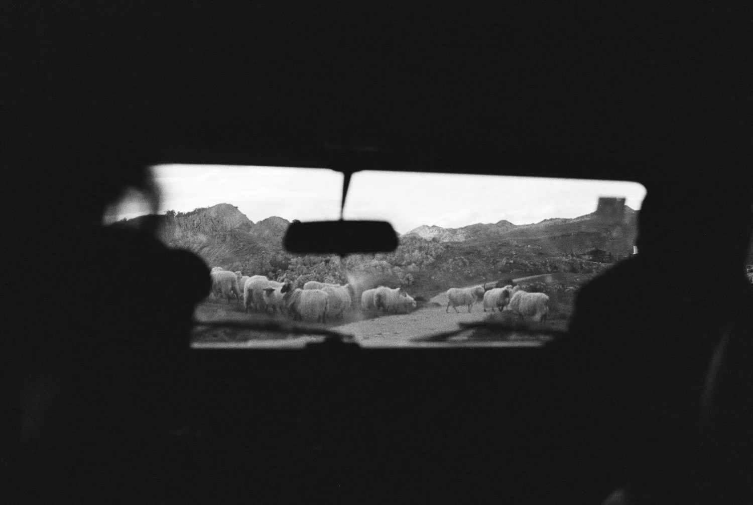 Orbea_TT_CheesePaths_Film_66.jpg