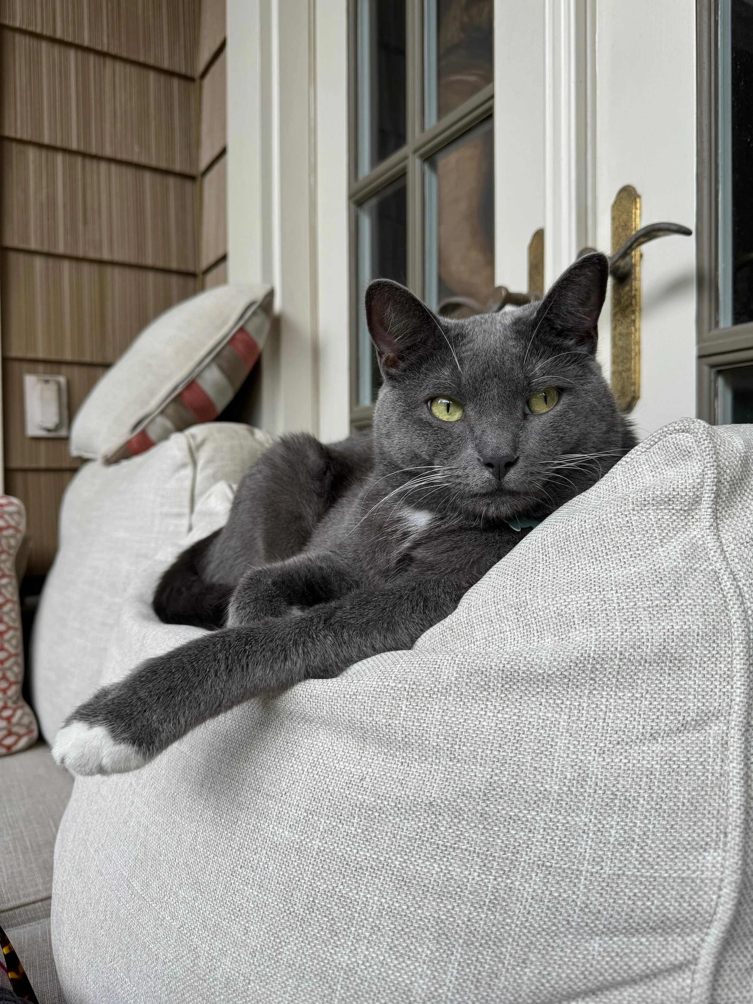 I know I am beautiful