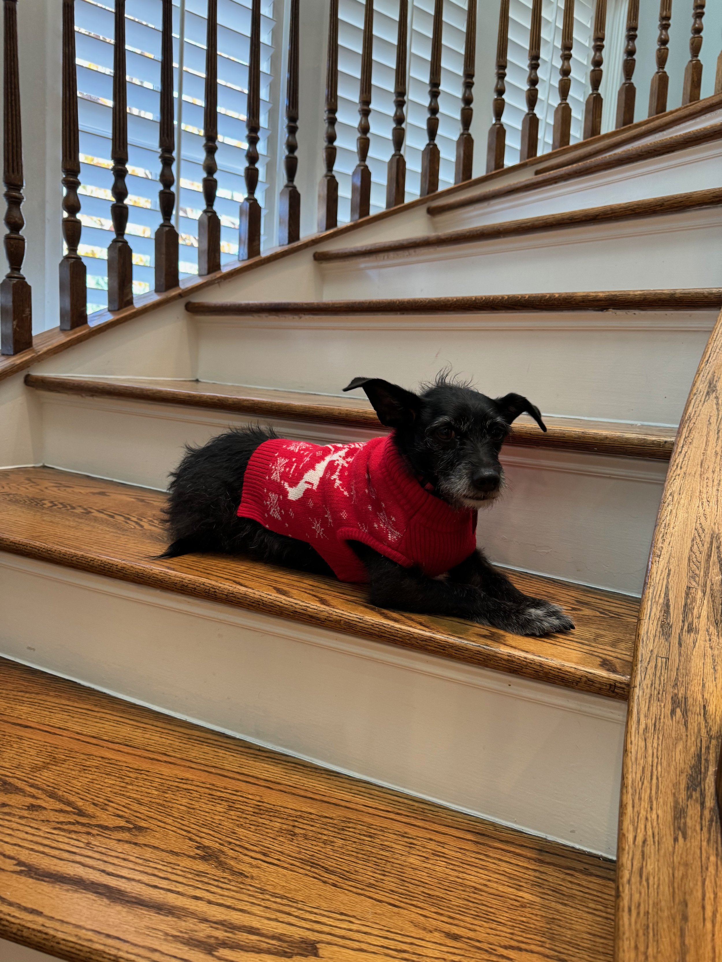 I like my Christmas sweater