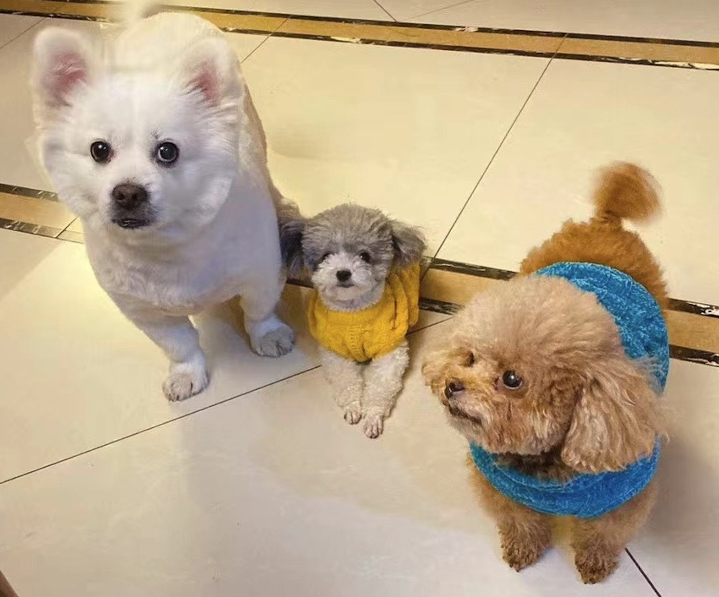We need some food