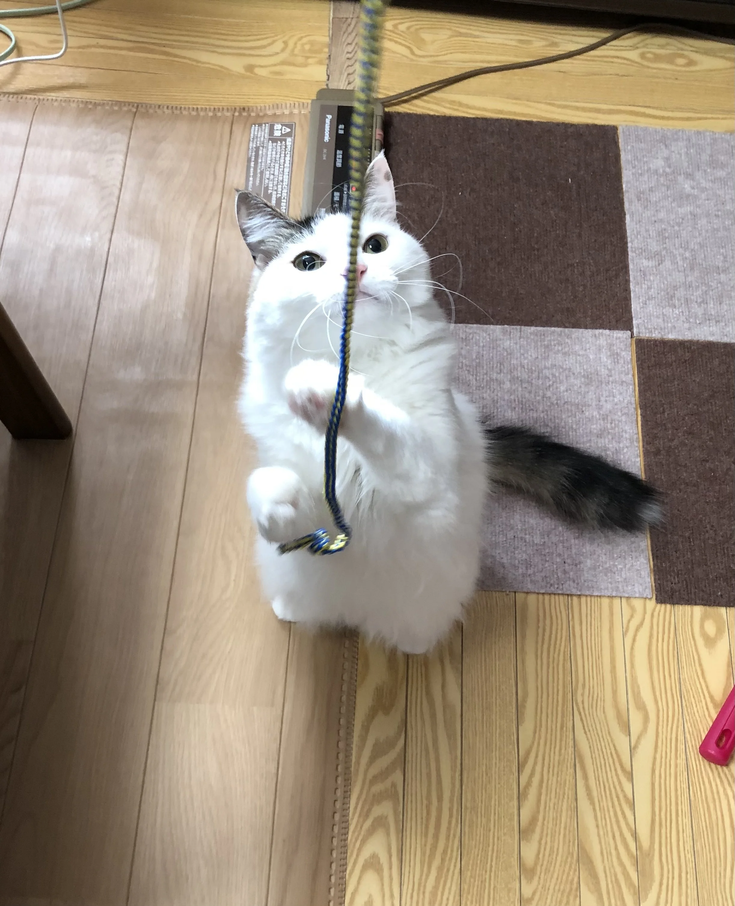 That is mine.jpg
