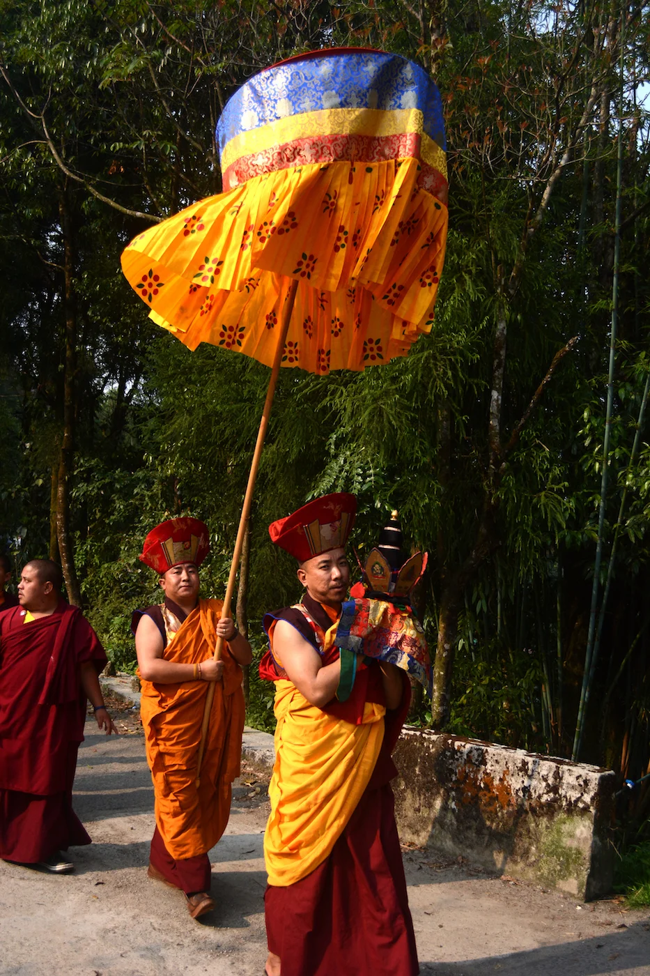 DSC_5441.JPG
