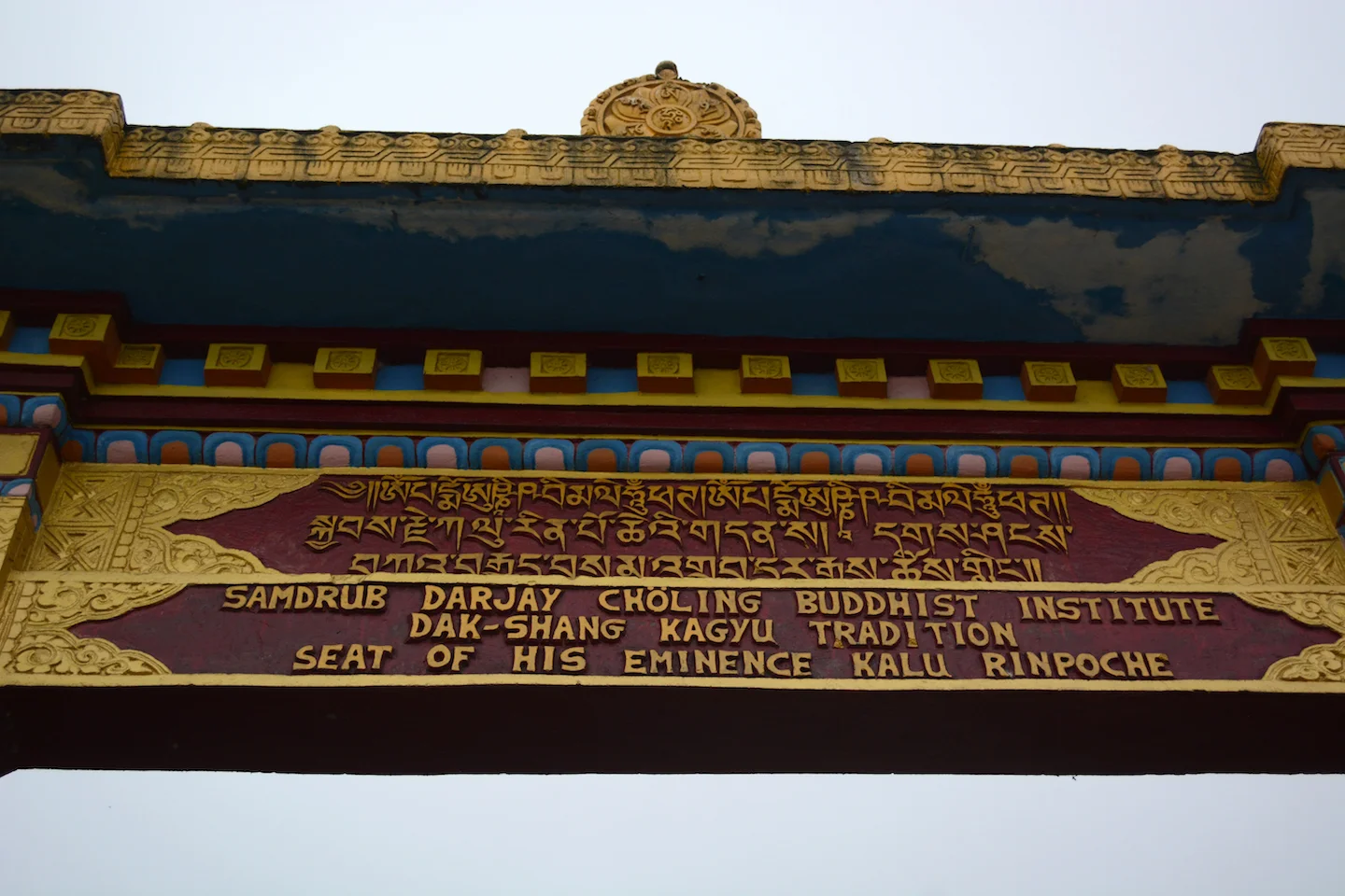 SM01 DSC_5527.JPG