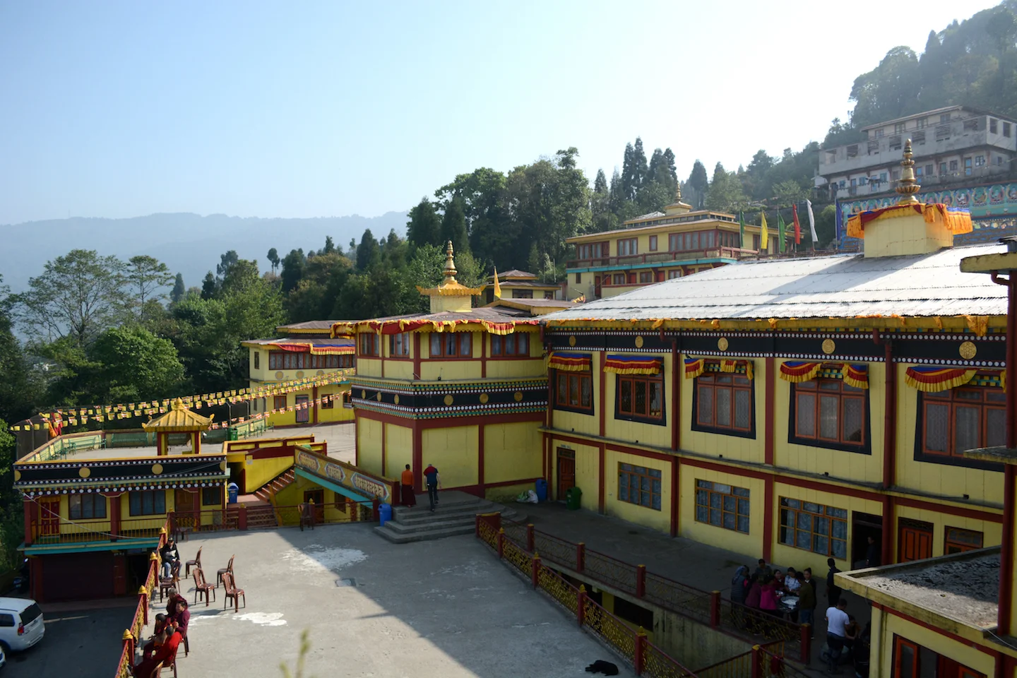 SM04 DSC_5536.JPG
