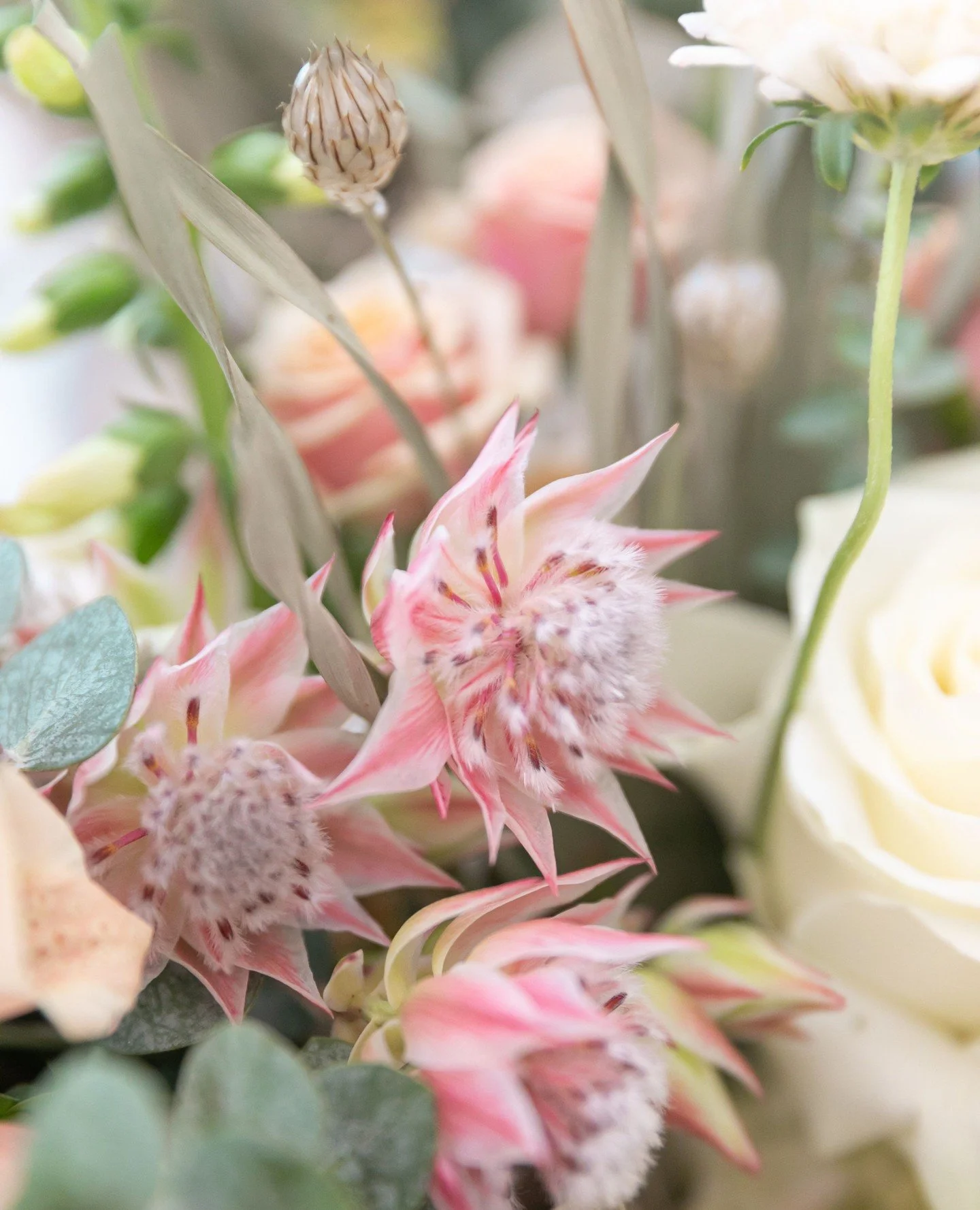 Airy details and a gorgeous bouquet by Deep Leap Florals.
