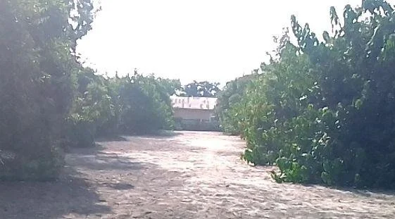   Environment   
