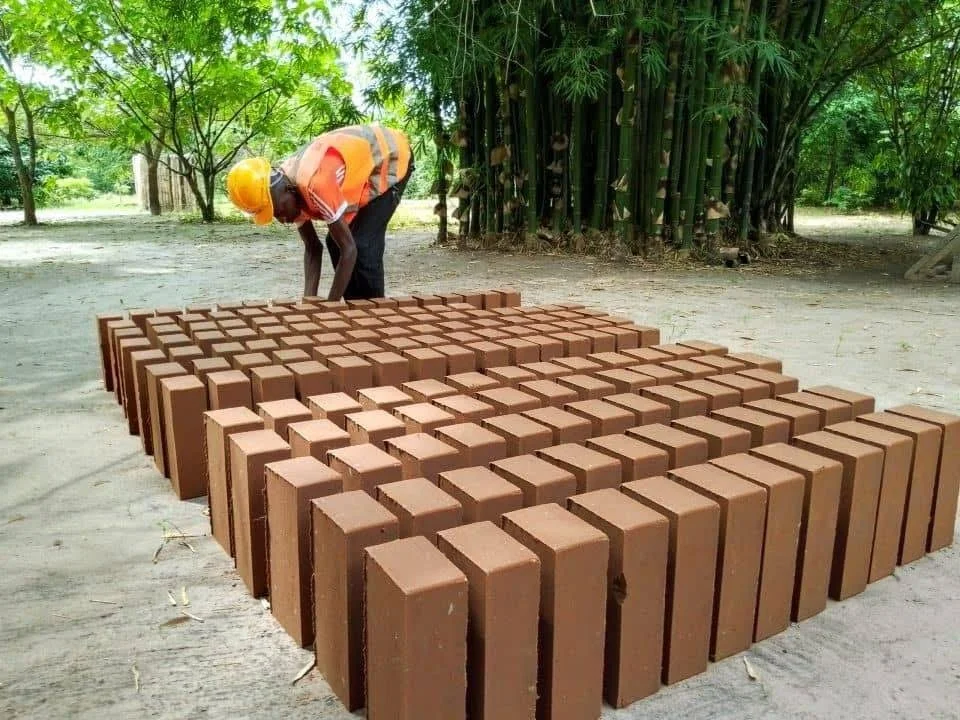 WhatsApp Image 2026-02-03 at 01.00.37.jpeg