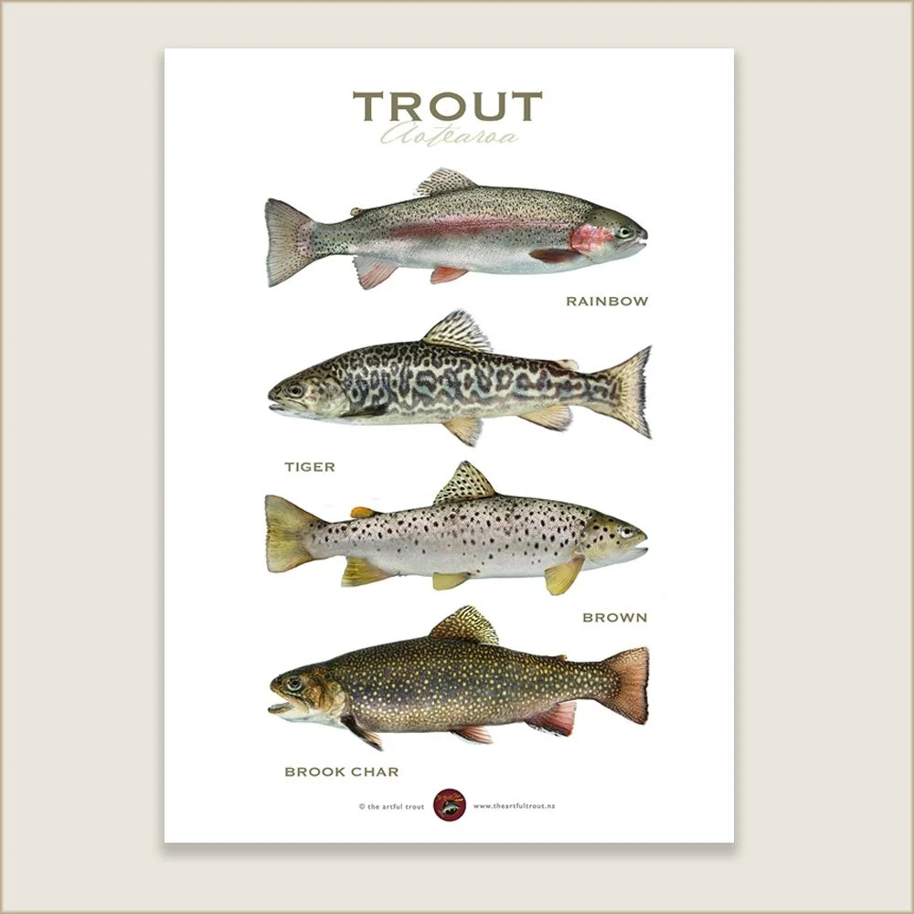 trout-tea-towel.jpg