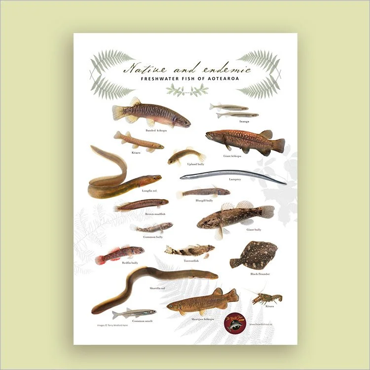 native-fish-tt.jpg