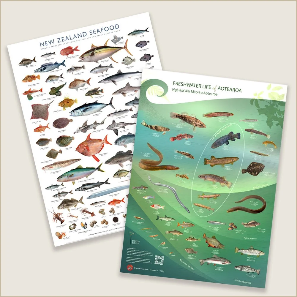 freshwater-and-seafood-posters.jpg