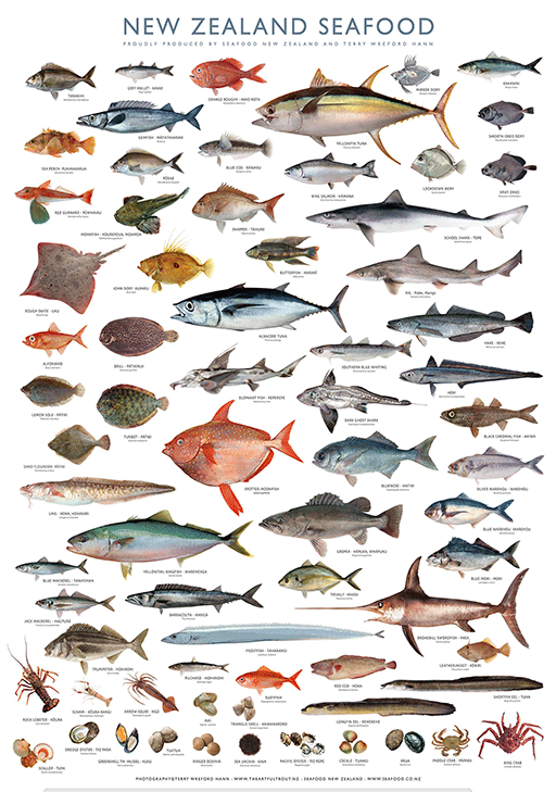 sea-poster.png