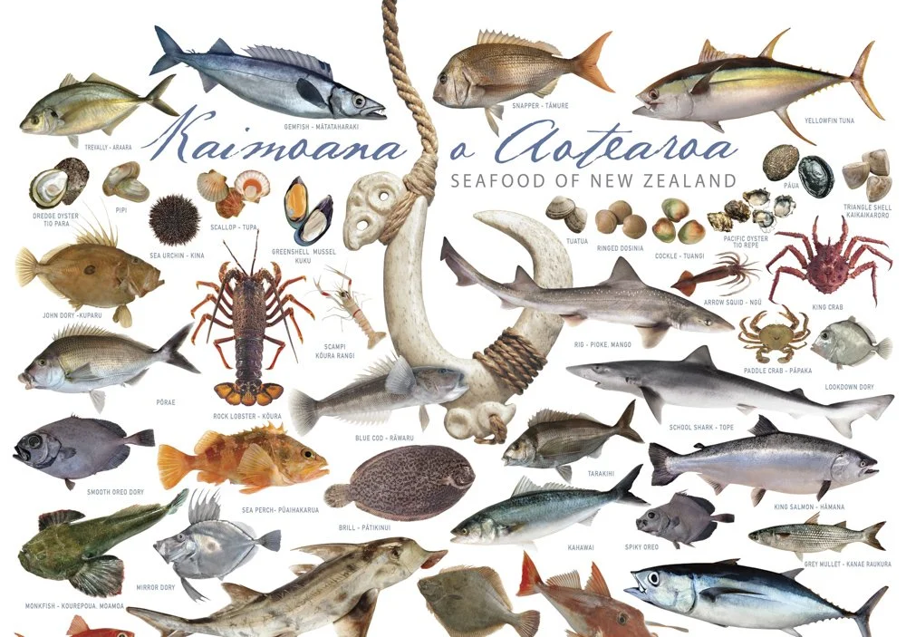 Kaimoana o Aotearoa – 500 Piece Jigsaw Puzzle