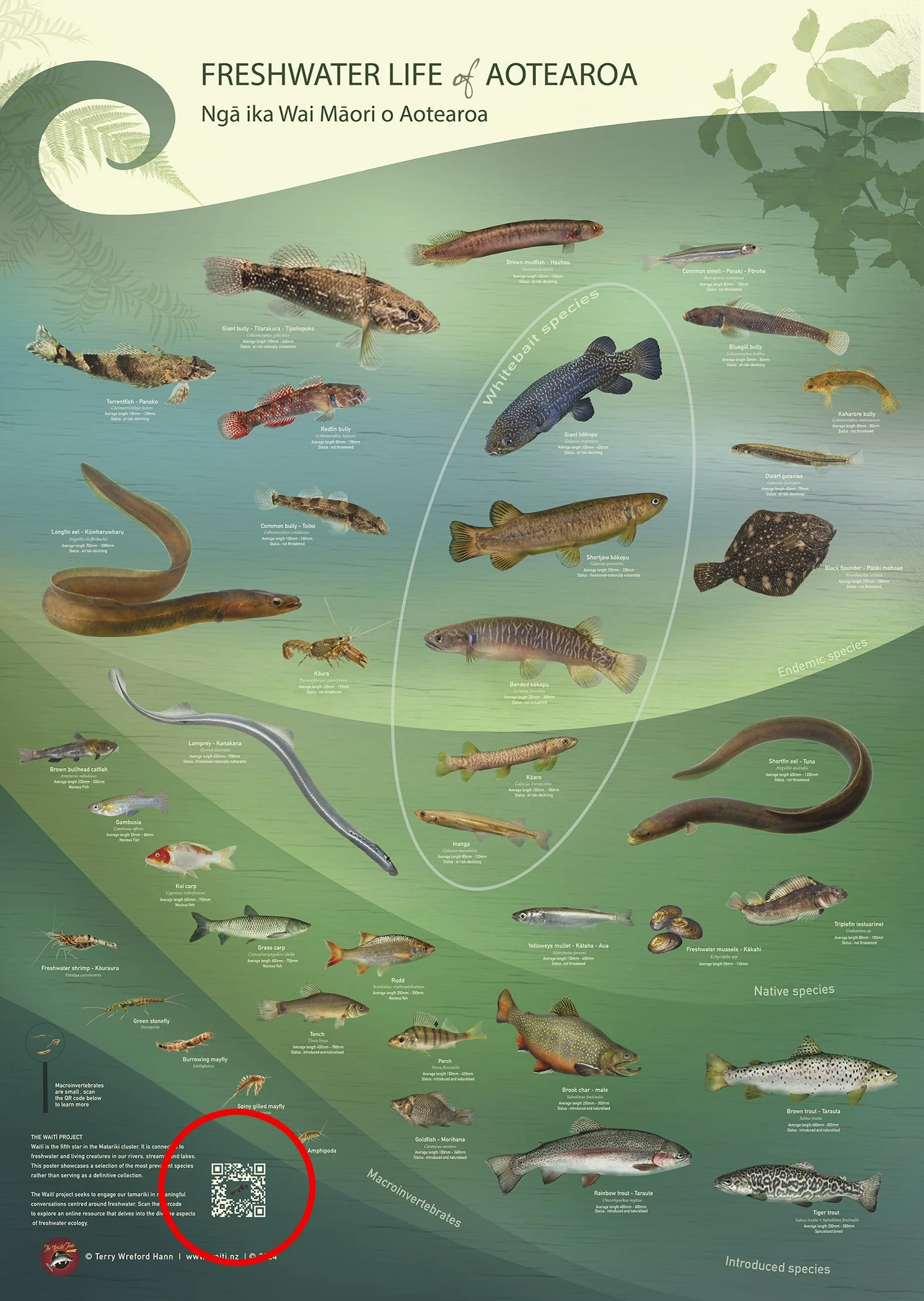fwf-poster-ring.jpg