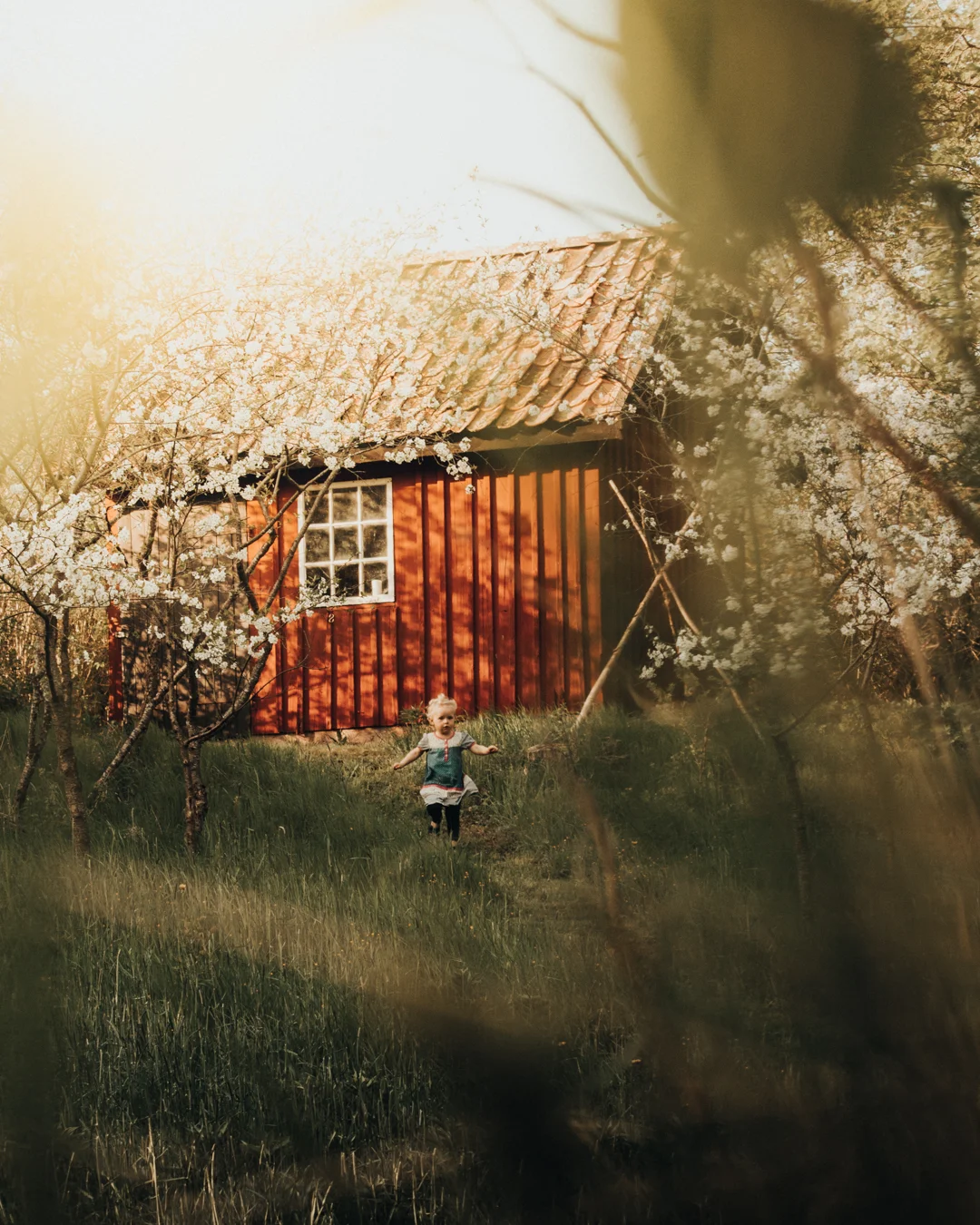 Red cabin, Västra götaland