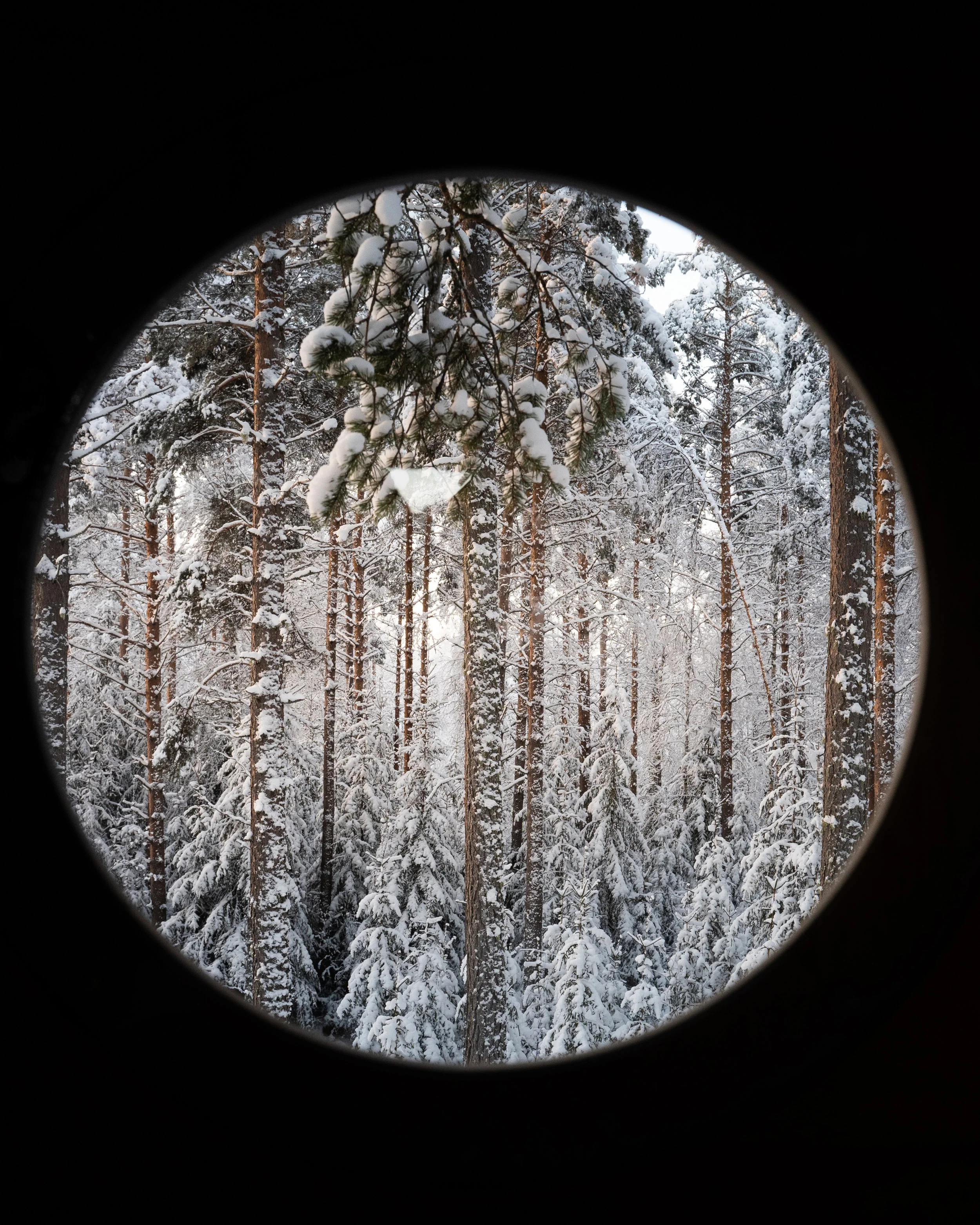 A room with a view.