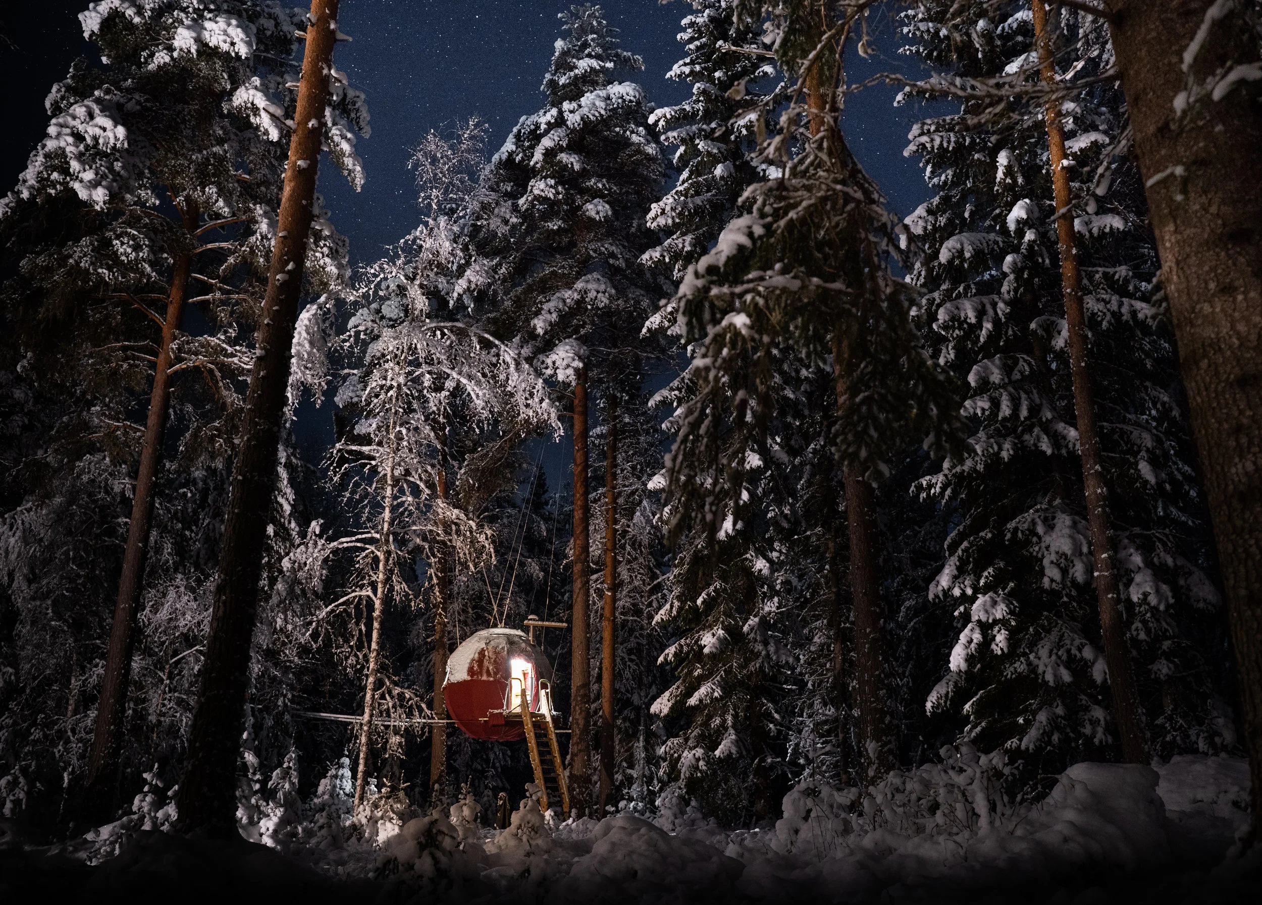 treehouse_viggo_lundberg (7 av 24).jpg