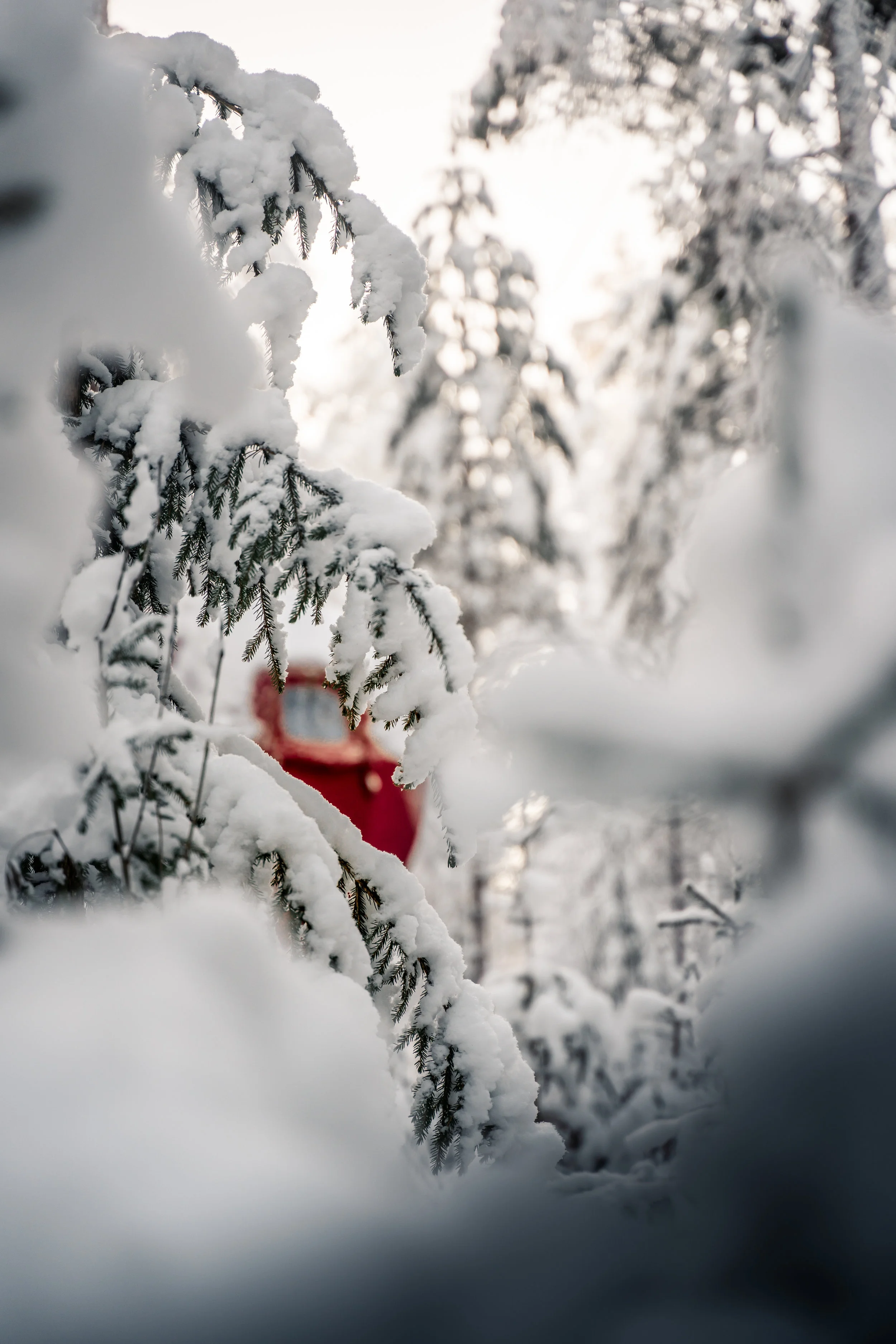 treehouse_viggo_lundberg (3 av 24).jpg
