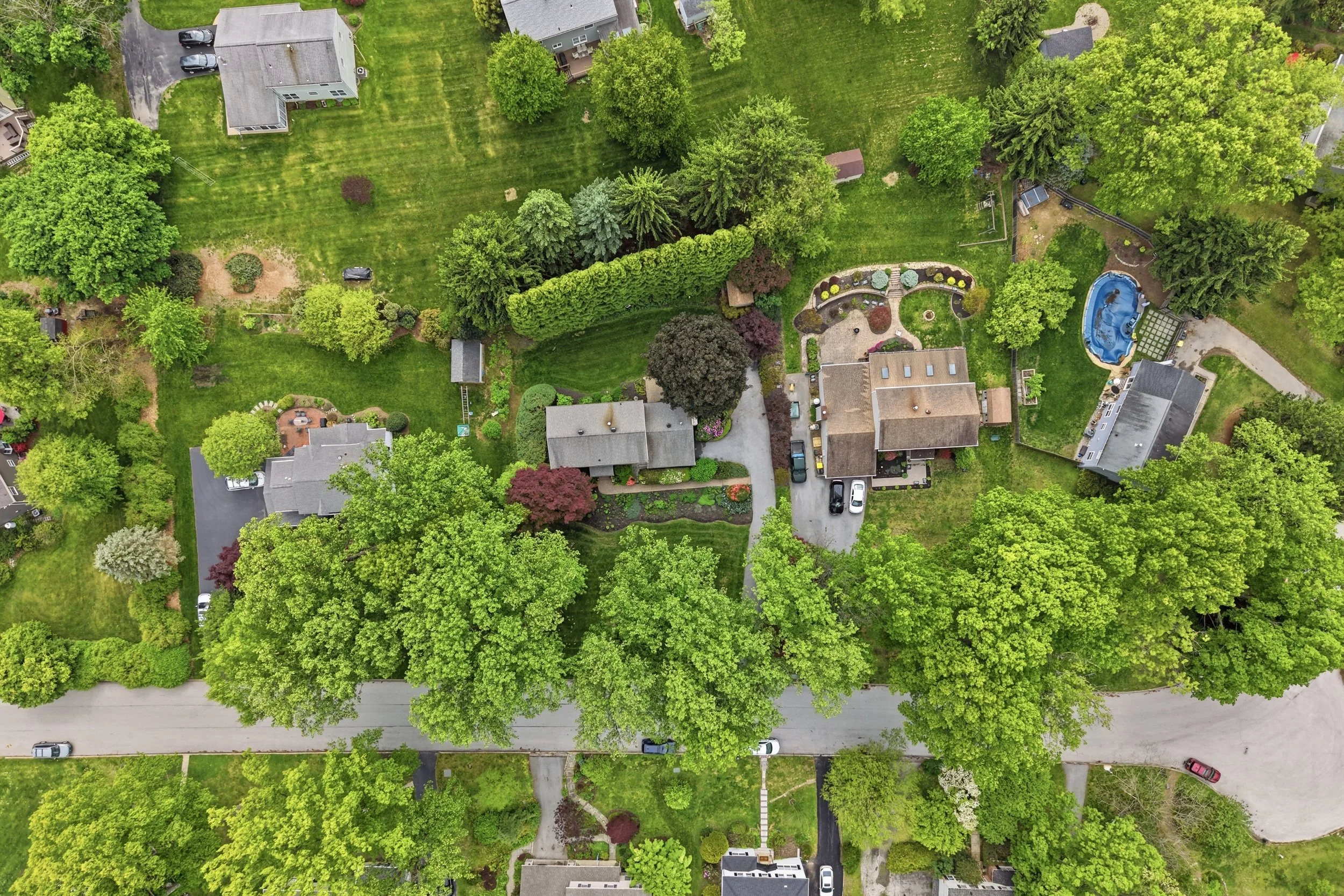 An aerial view of a residential neighborhood with green trees, houses, lawns, and driveways, including a backyard with a pool.