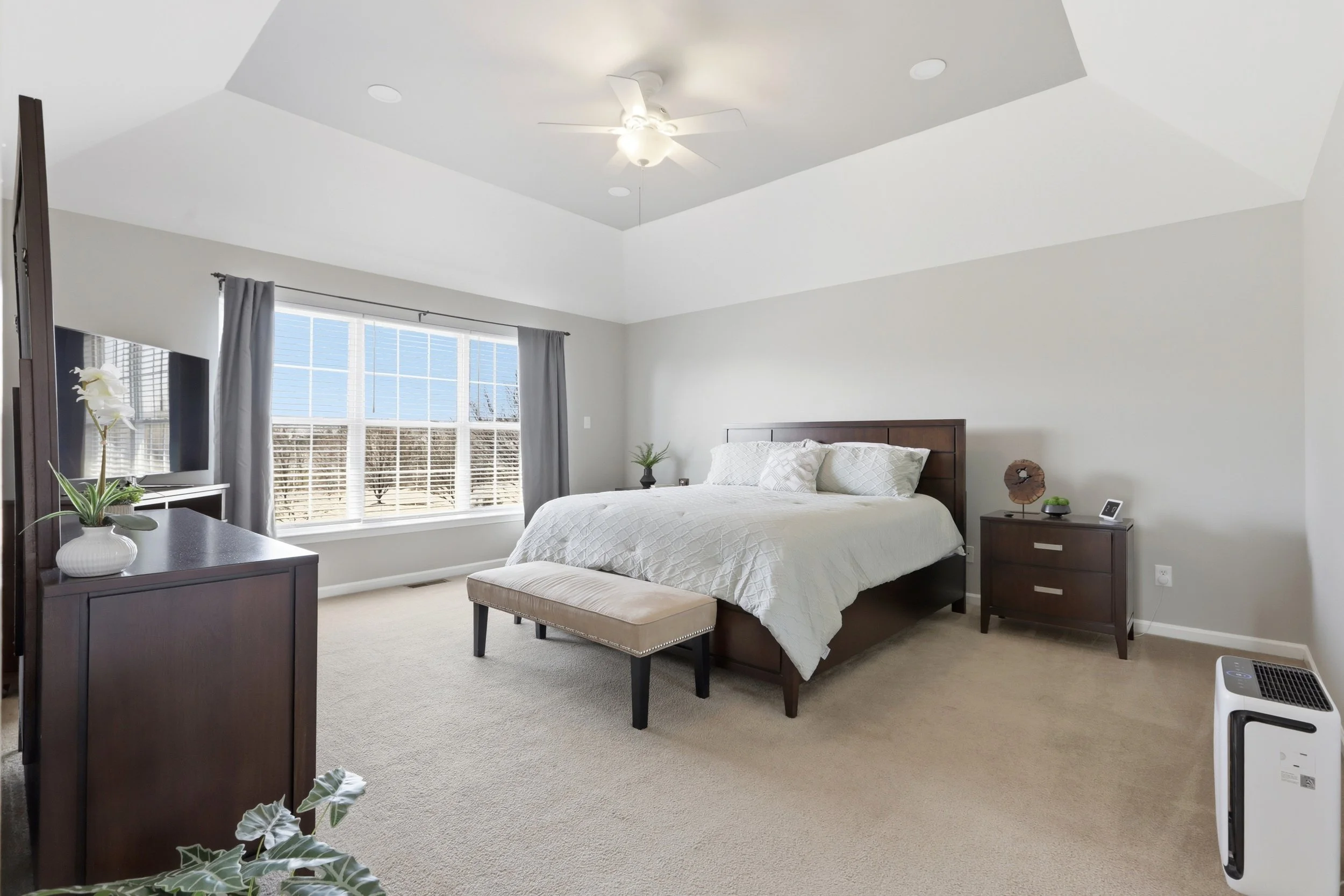 Bright modern bedroom with large window, white walls, dark wood bed frame, and matching bedside tables. There are curtains, a ceiling fan with light, a TV on dresser, plants, and a space heater.