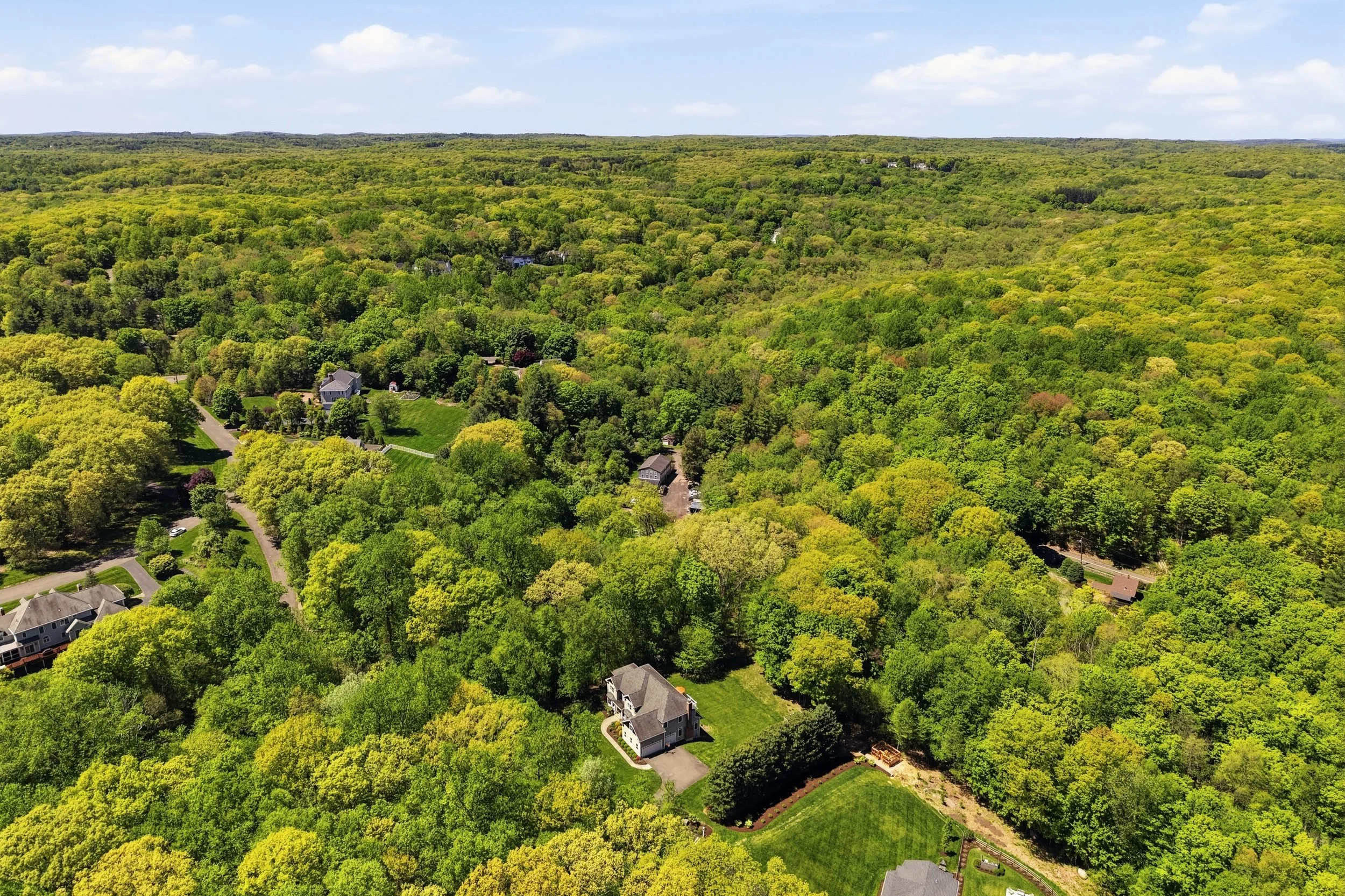 Aerial view of a lush green forest with scattered houses and winding roads during the daytime.