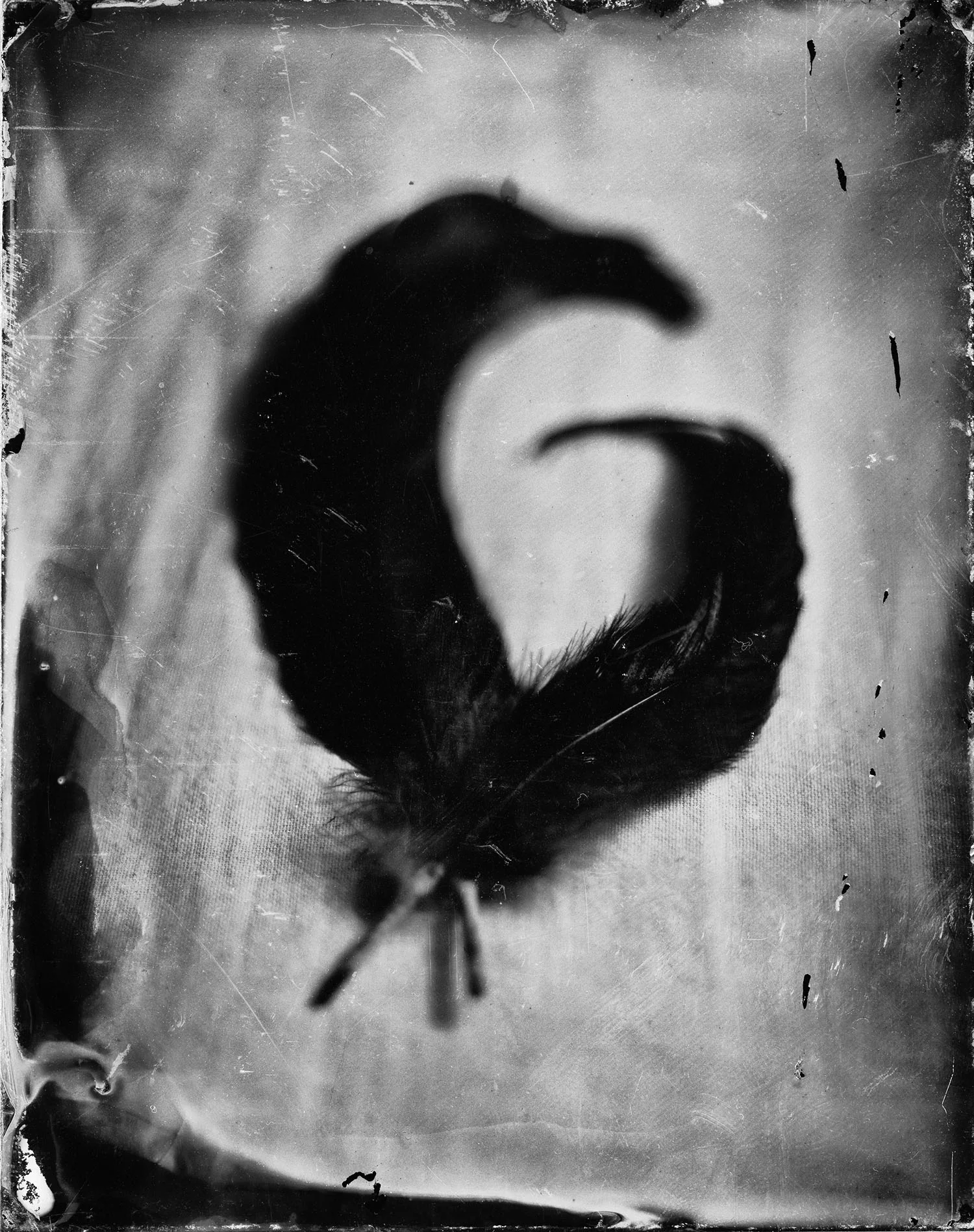 Tin Type 1.jpg
