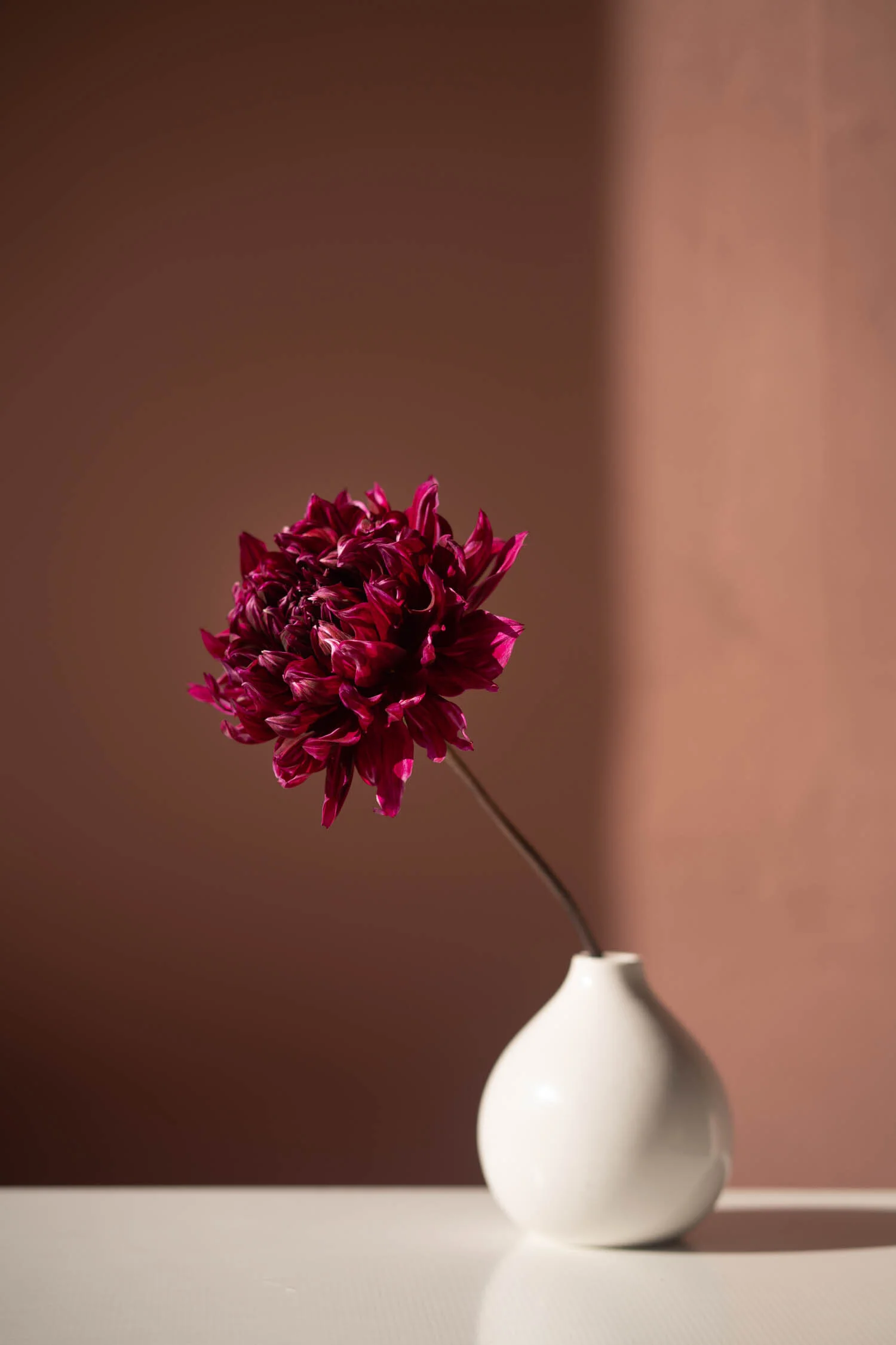 A7R02041.jpg