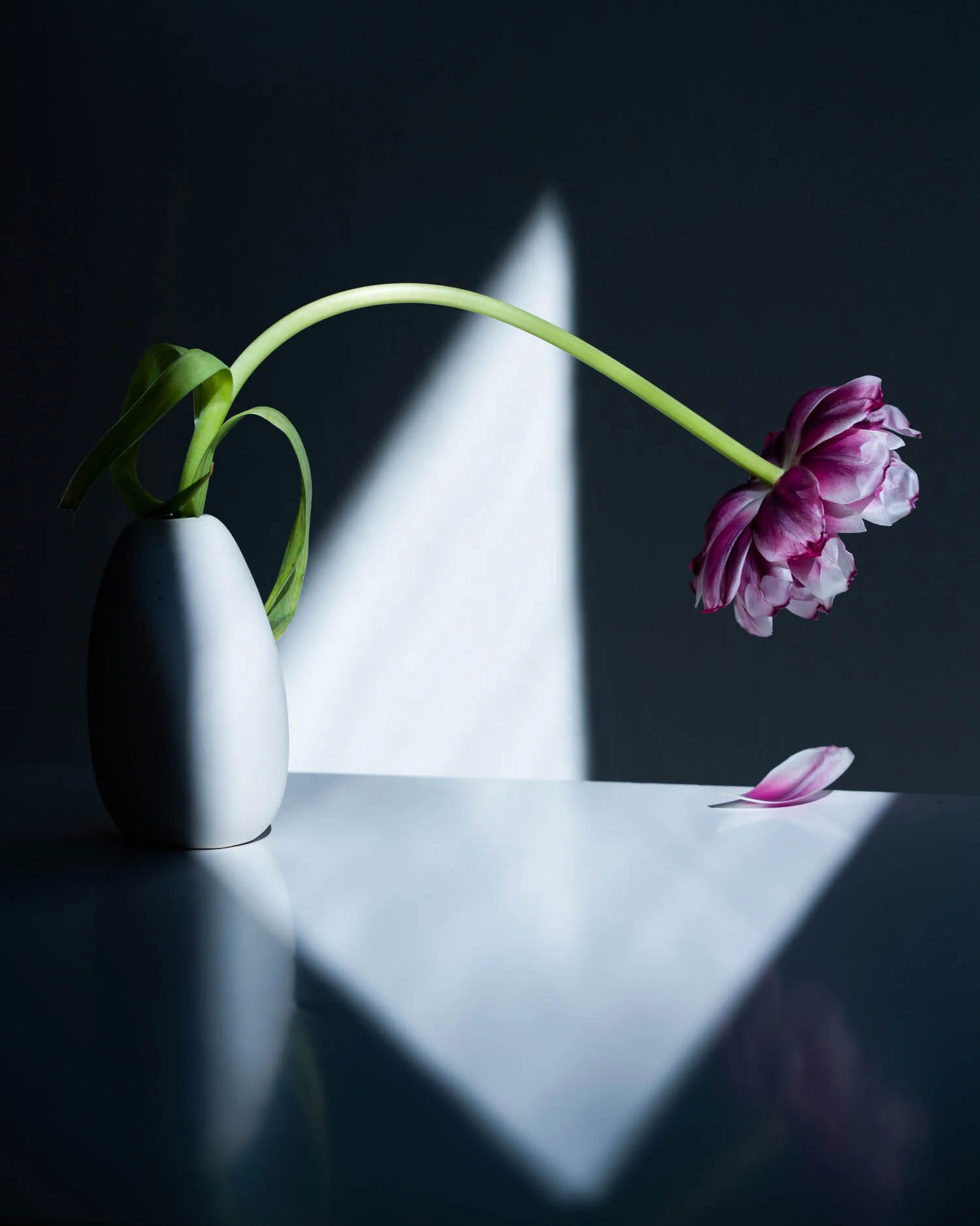 FG_00780-Edit.jpg