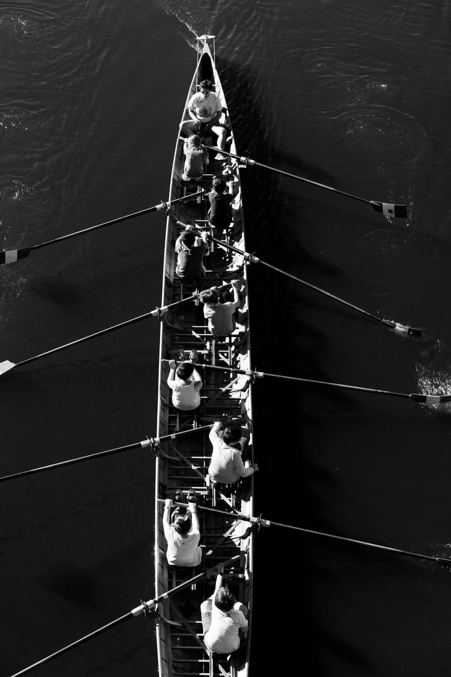 FV_06300.jpg
