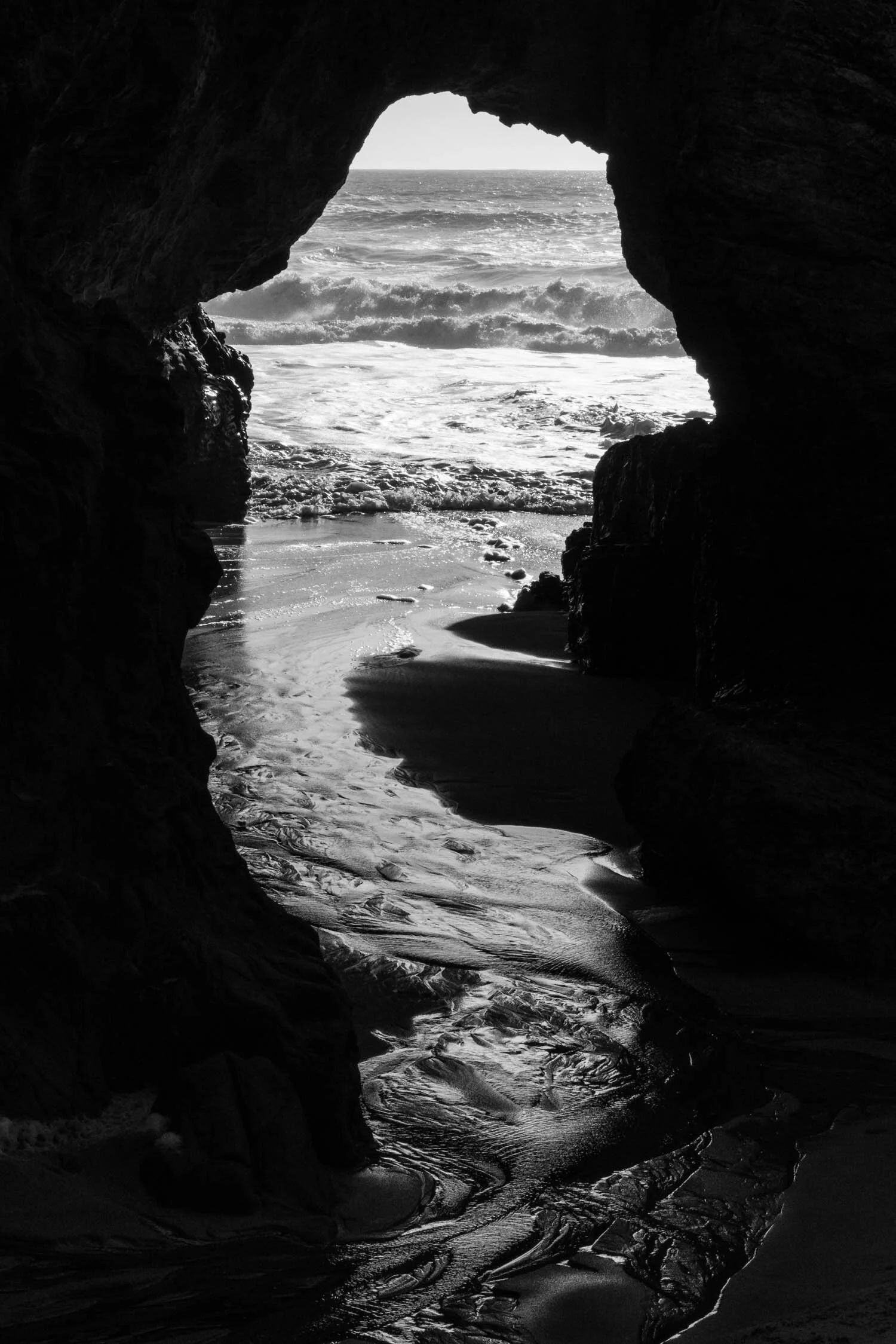 FV_09985.jpg