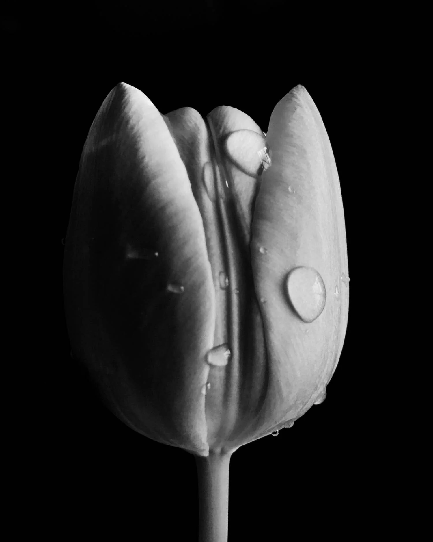 FullSizeRender 10.jpg