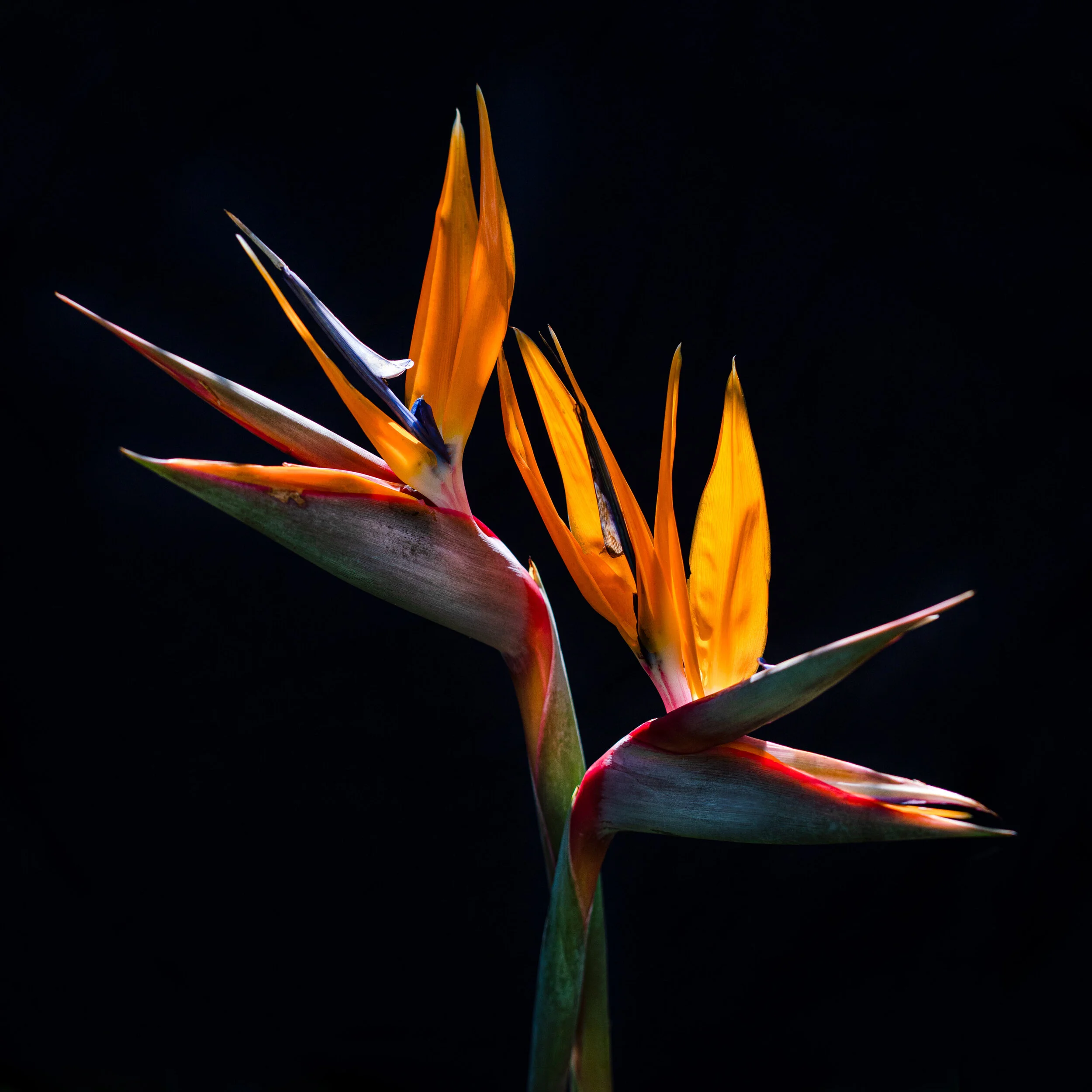 FG_09755-Edit.jpg