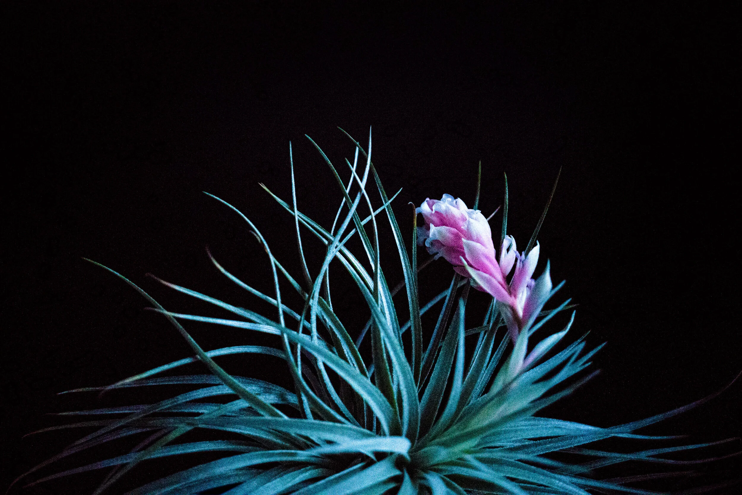 _DSC9102-Edit.jpg