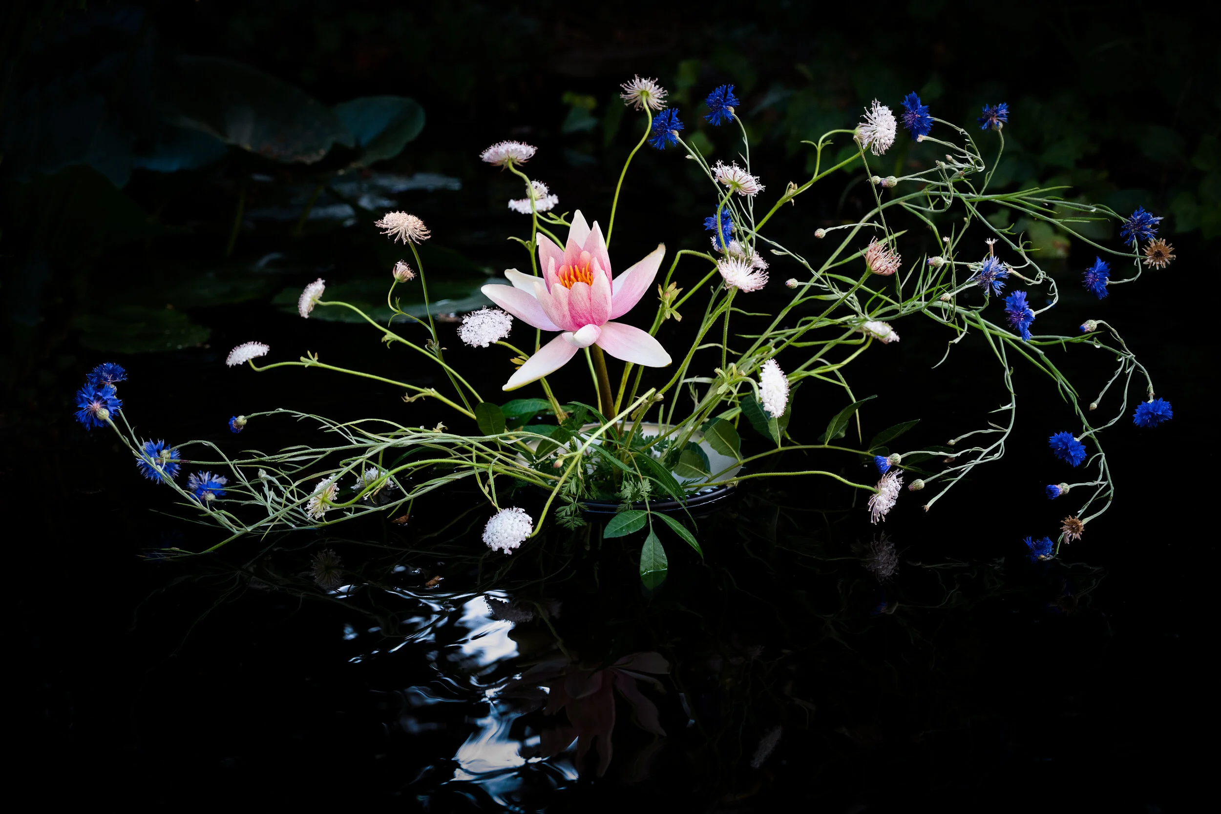 A7R03650-Edit-Edit.jpg