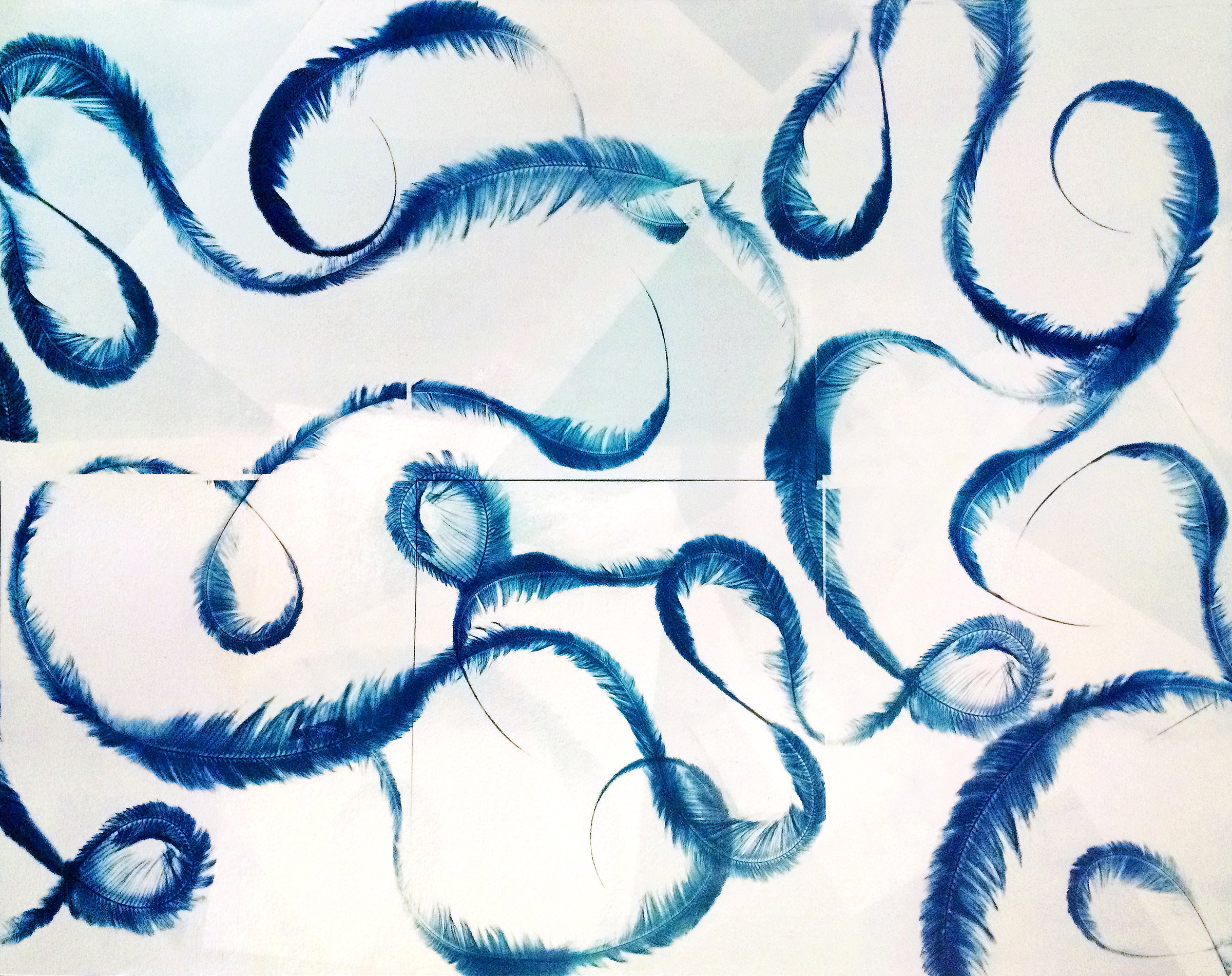 cyanotype_feathers.jpg