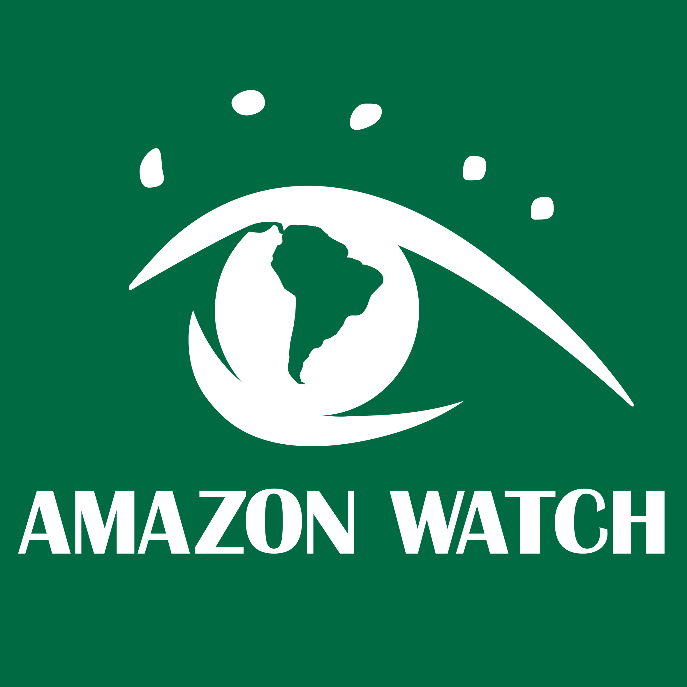 Amazon Watch