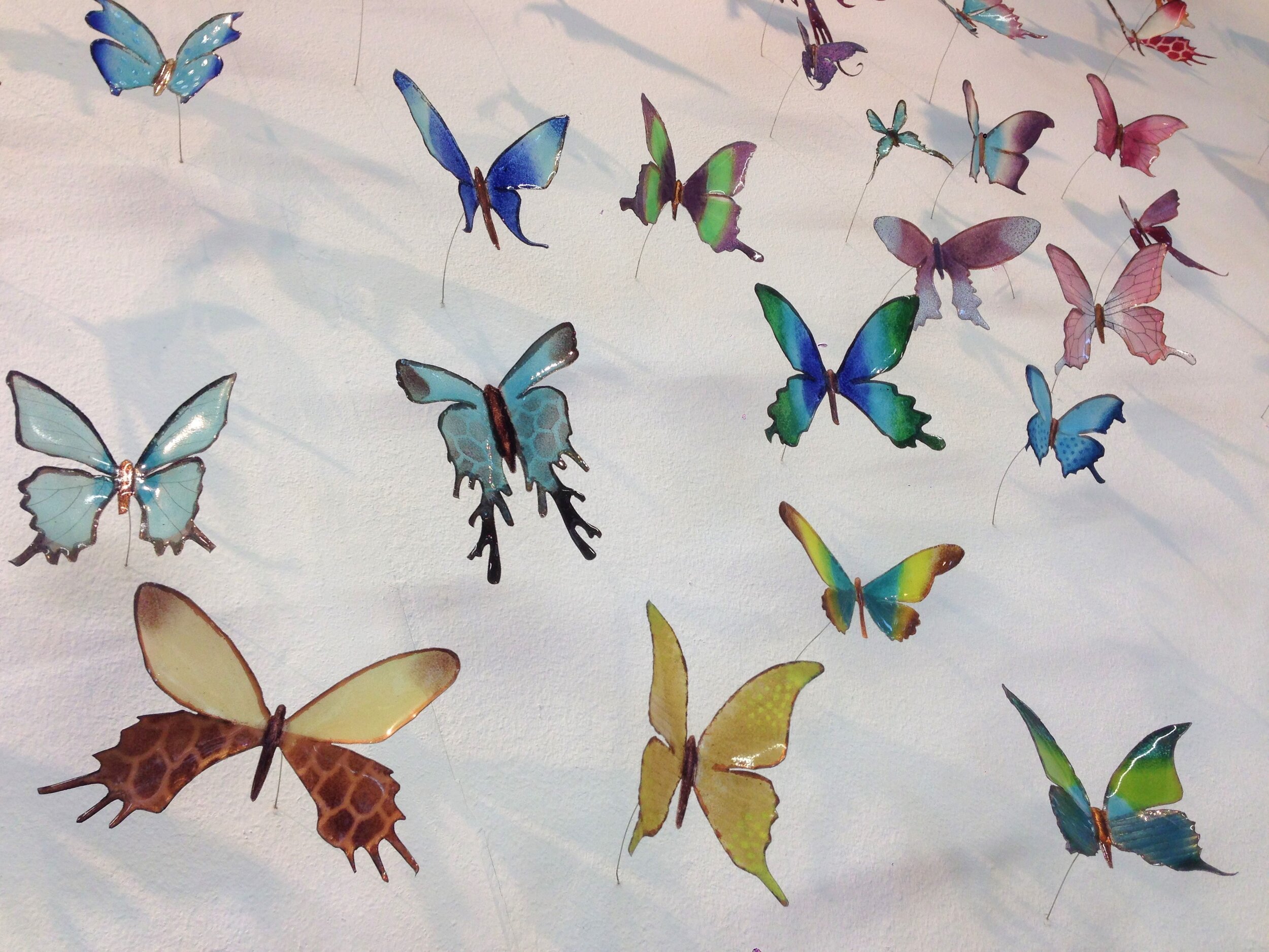 Group of butterflies 2..JPG