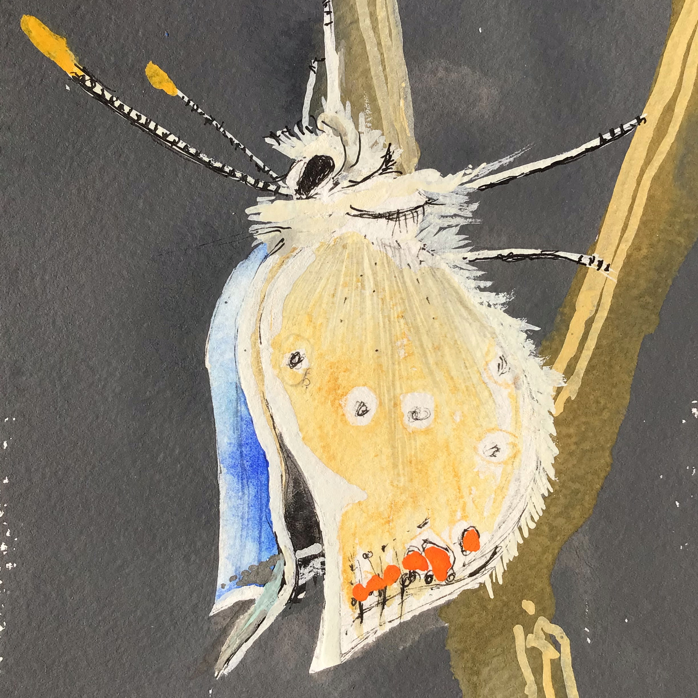 Study of a newly formed butterfly - gouache paint on paper